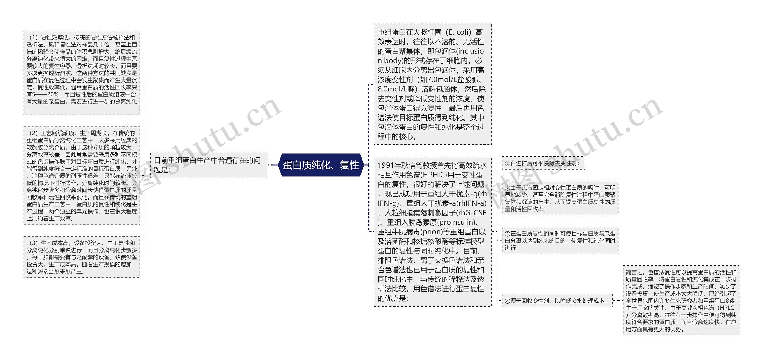 蛋白质纯化、复性思维导图