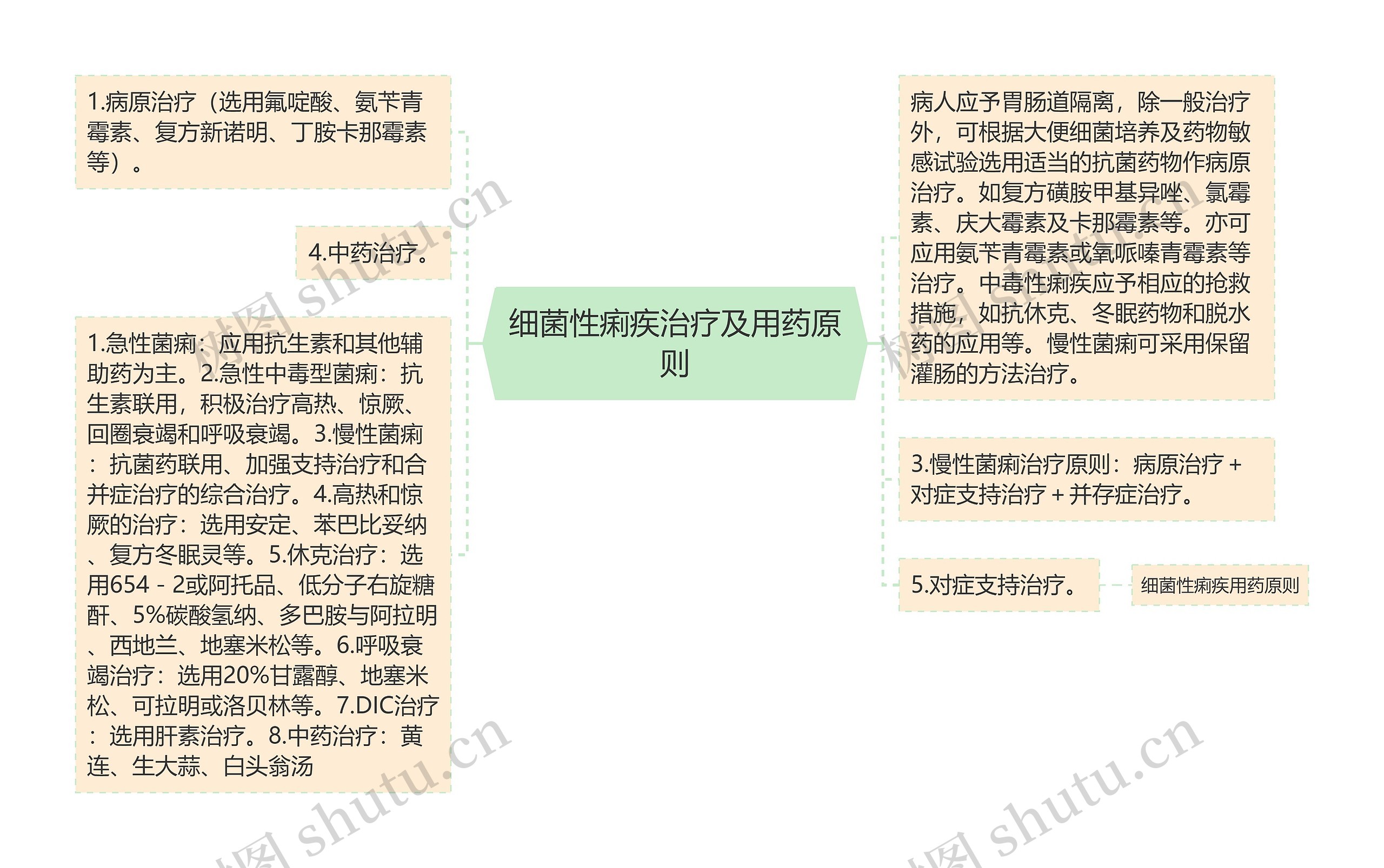 细菌性痢疾治疗及用药原则