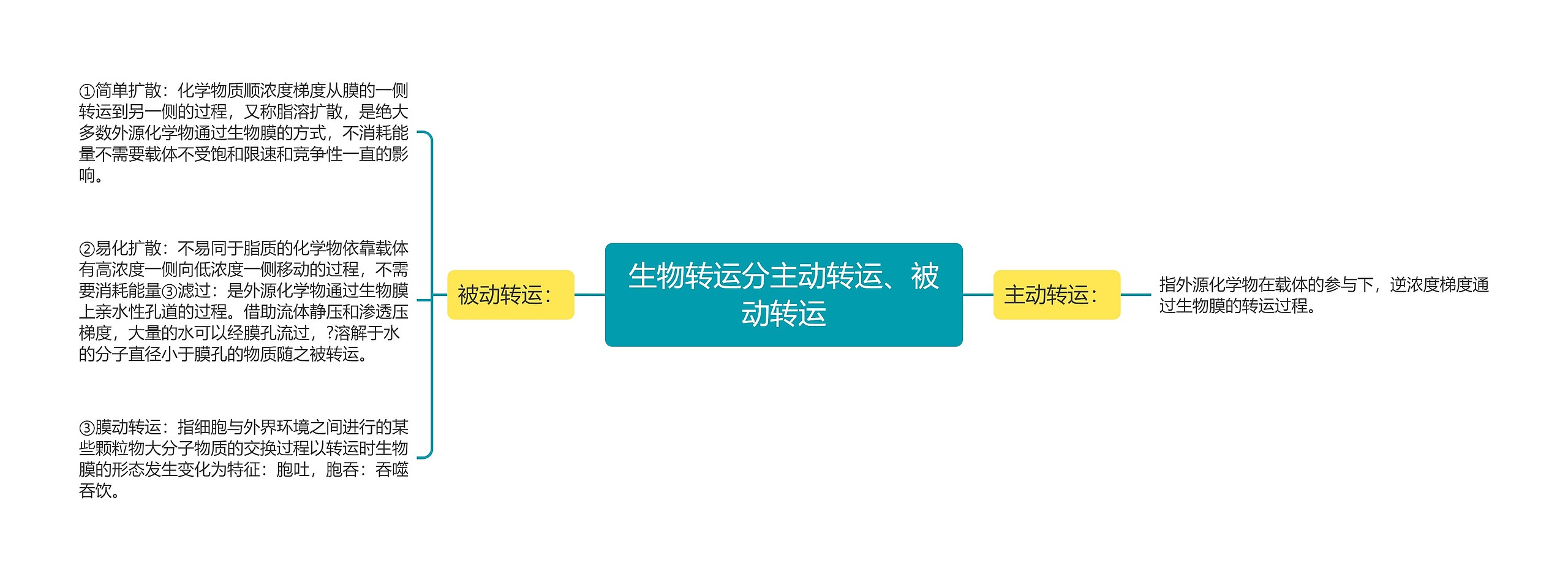 生物转运分主动转运、被动转运 生物转运分主动转运、被动转运