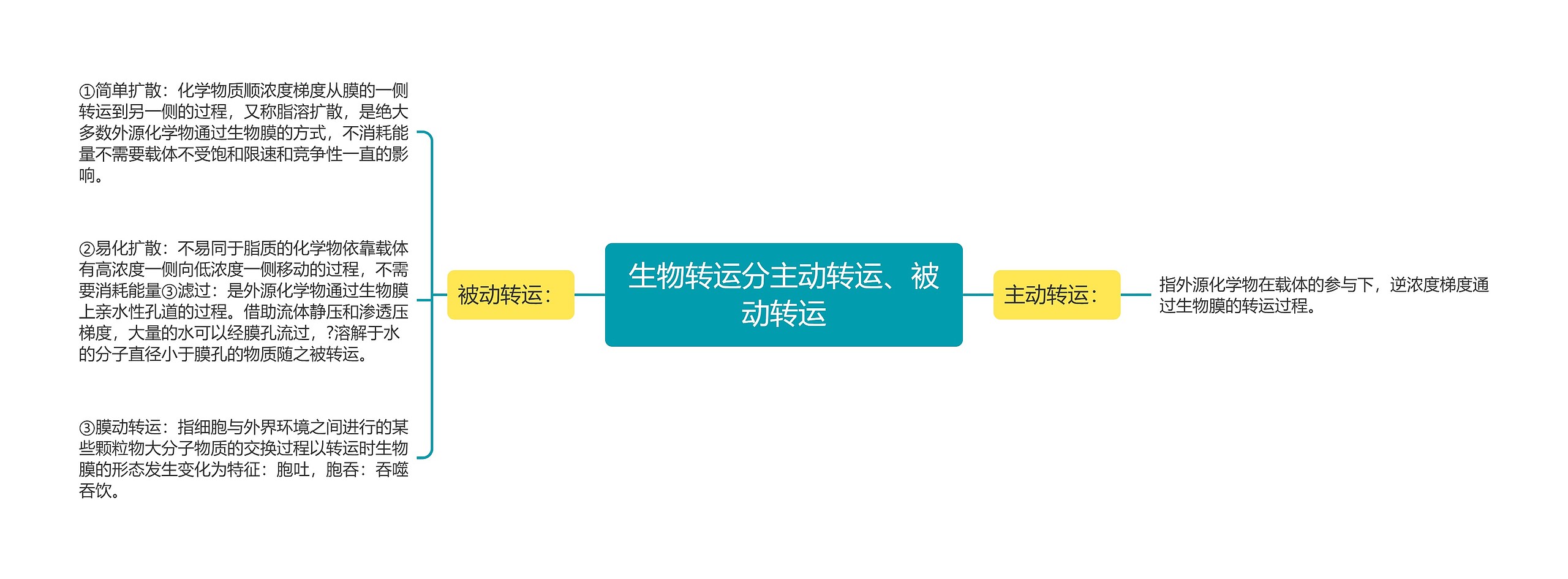 生物转运分主动转运、被动转运