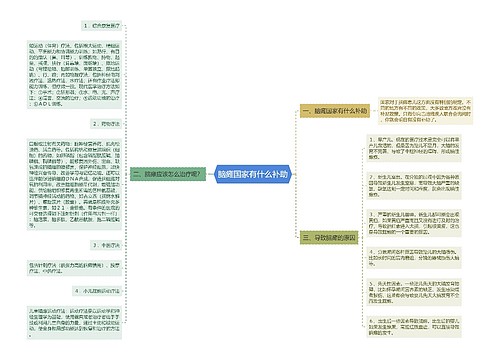 脑瘫国家有什么补助