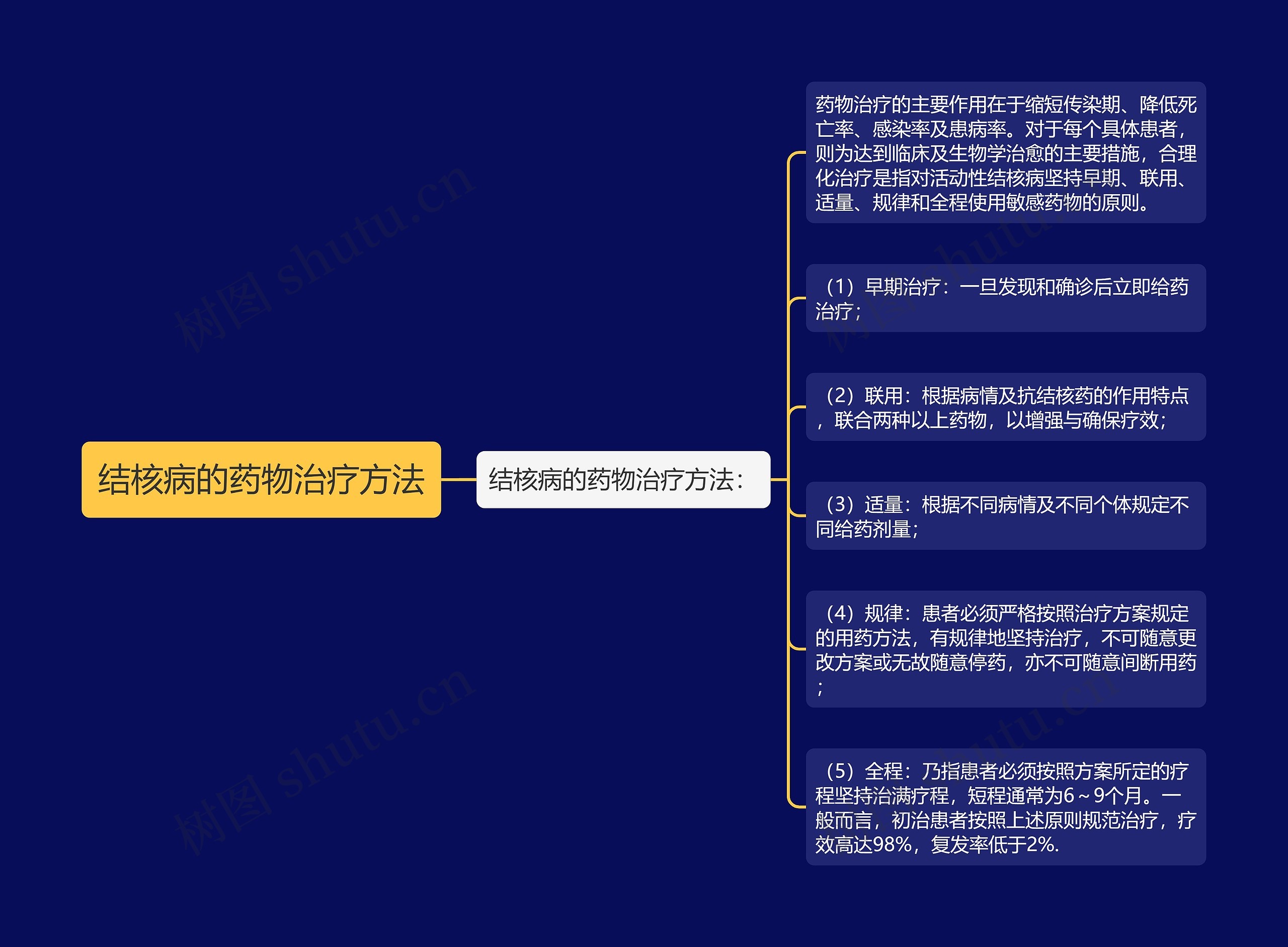 结核病的药物治疗方法思维导图