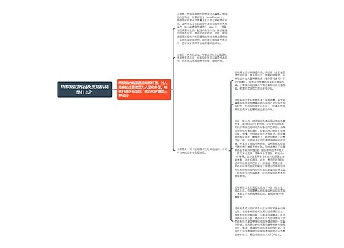 结核病的病因及发病机制是什么？