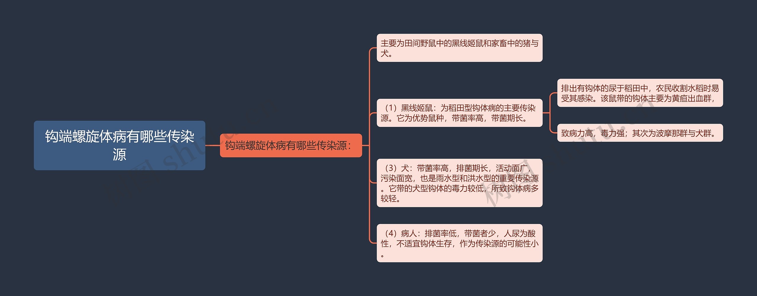 钩端螺旋体病有哪些传染源思维导图