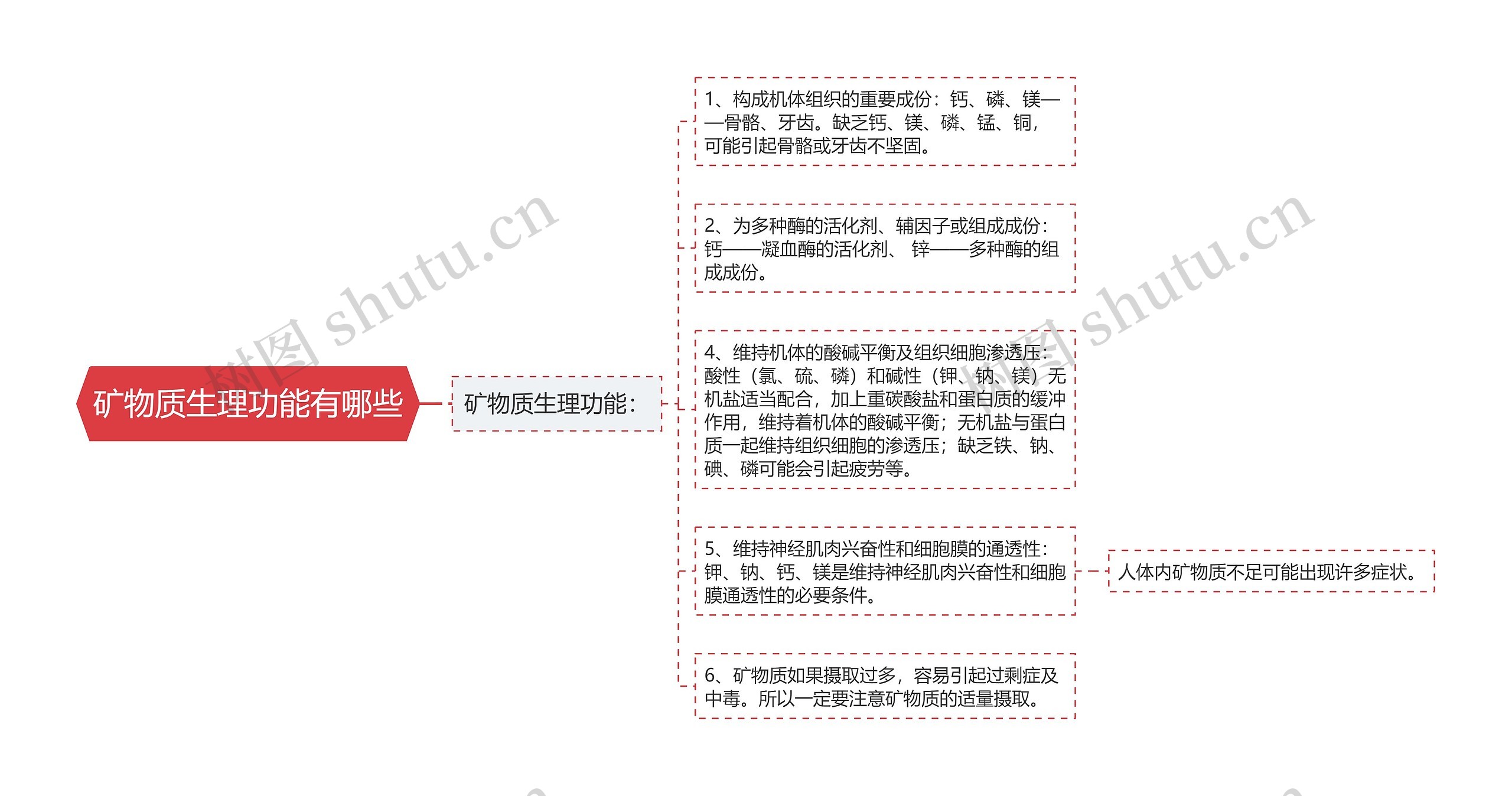 矿物质生理功能有哪些思维导图