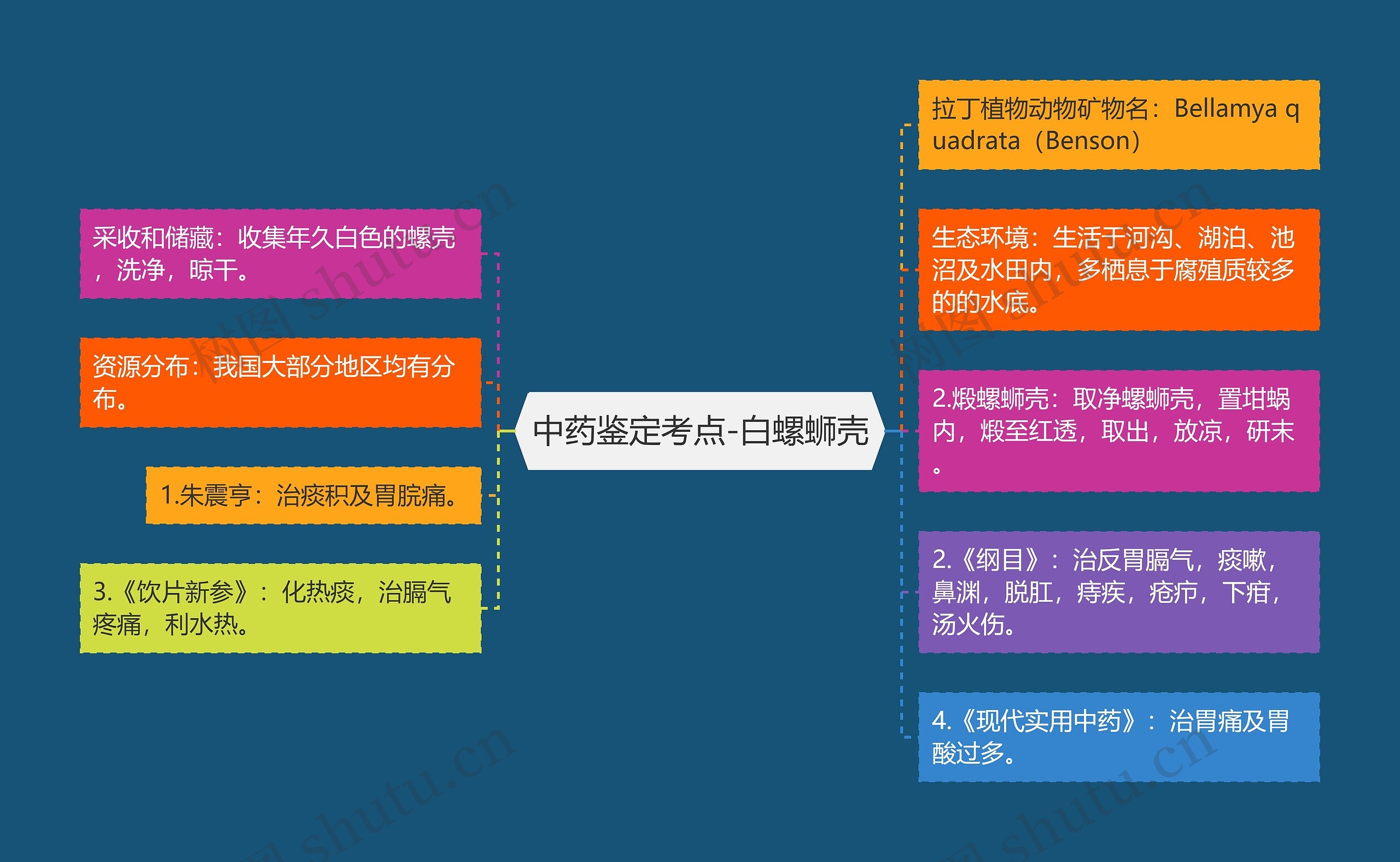 中药鉴定考点-白螺蛳壳