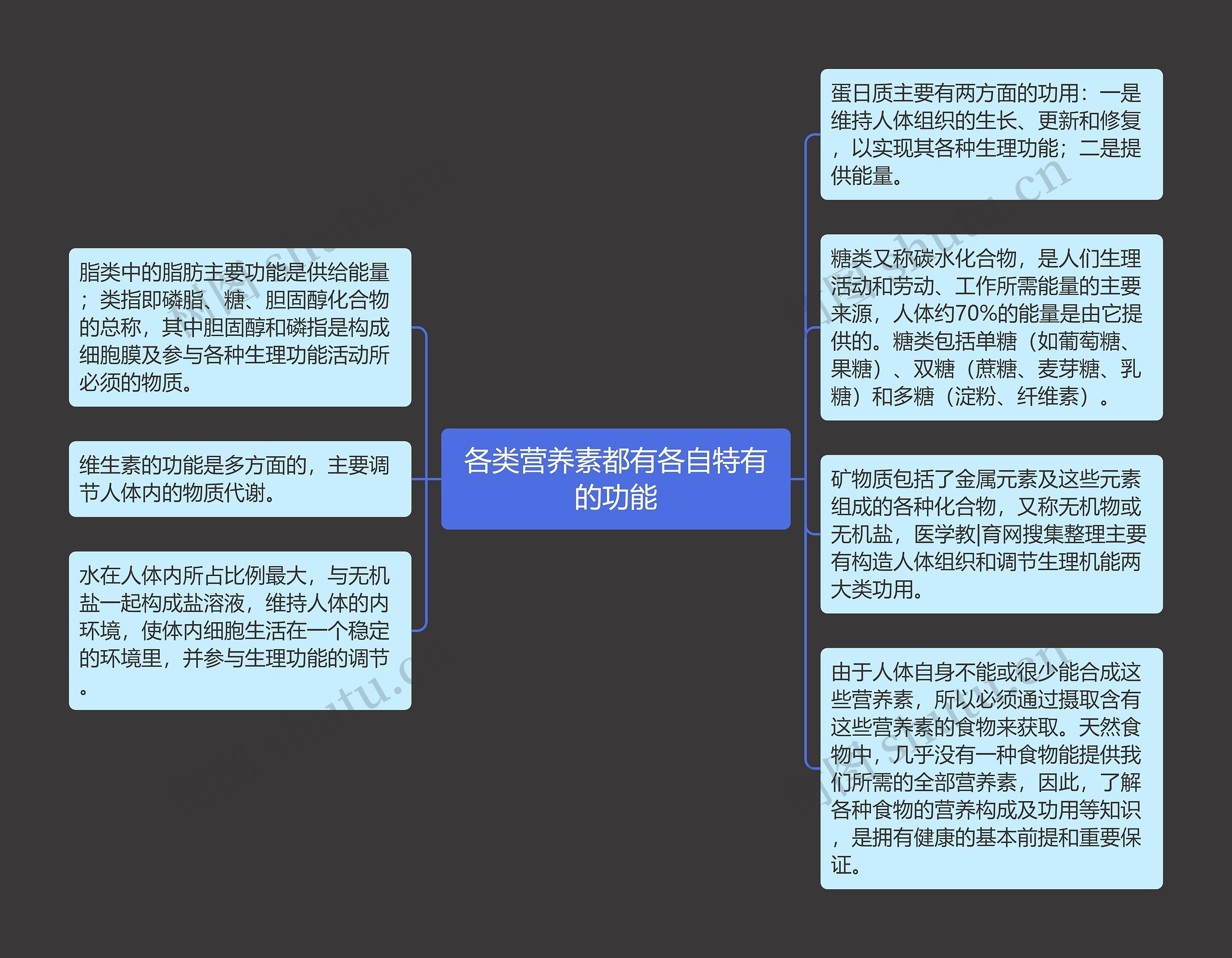 各类营养素都有各自特有的功能思维导图