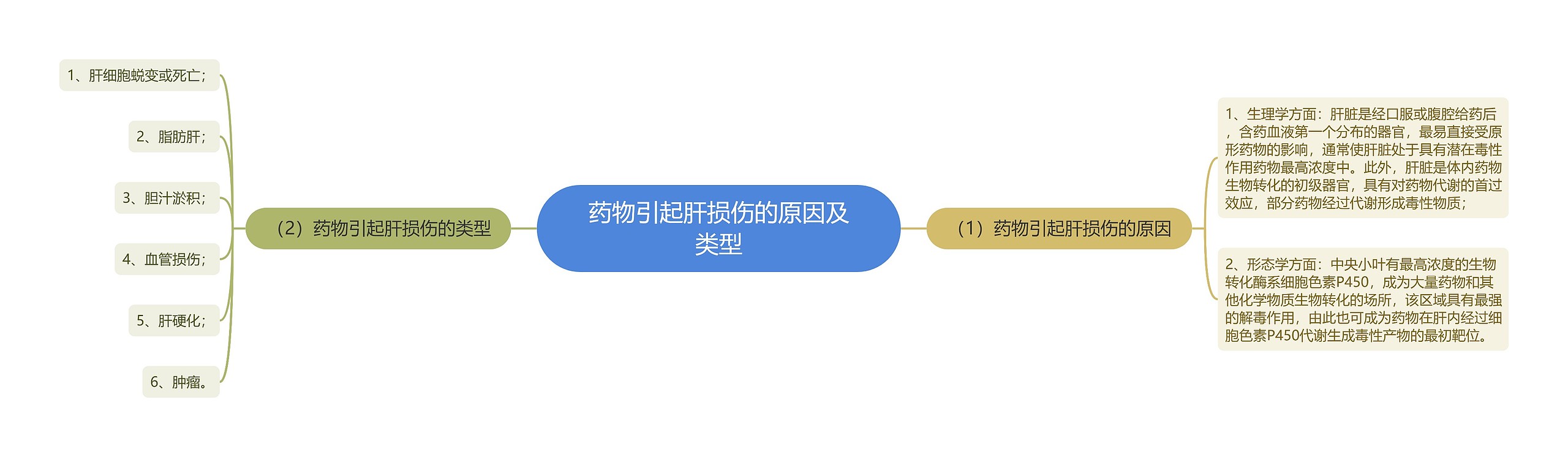 药物引起肝损伤的原因及类型思维导图