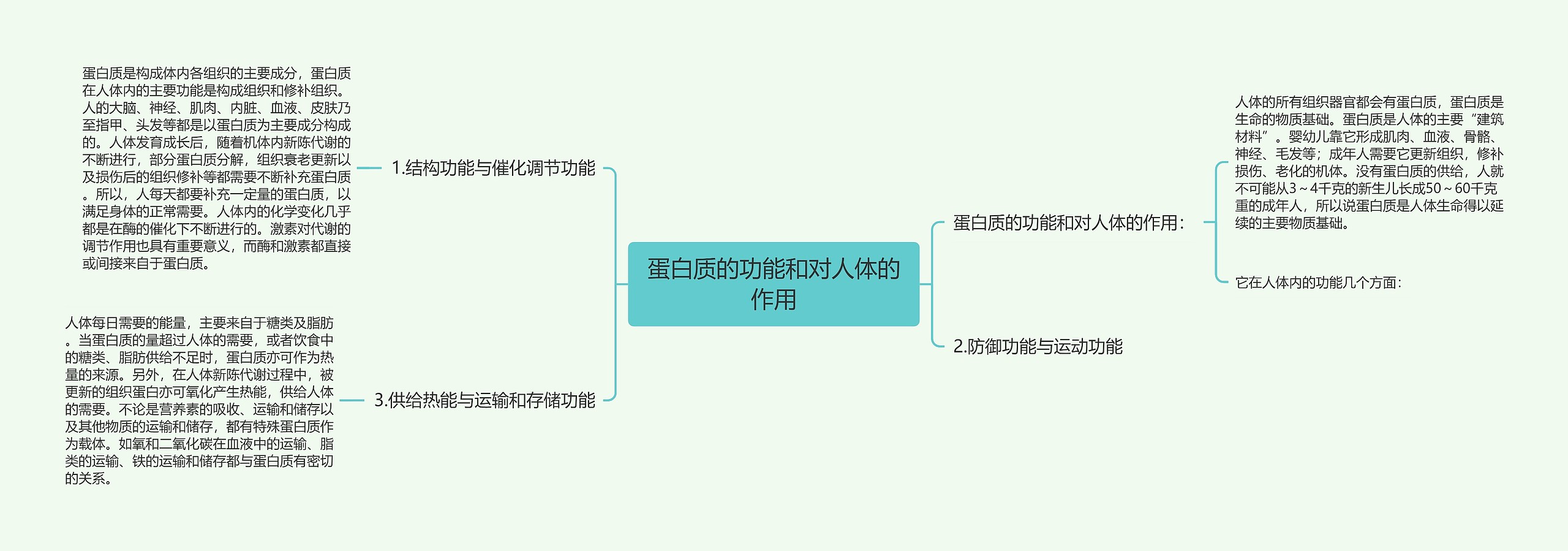 蛋白质的功能和对人体的作用