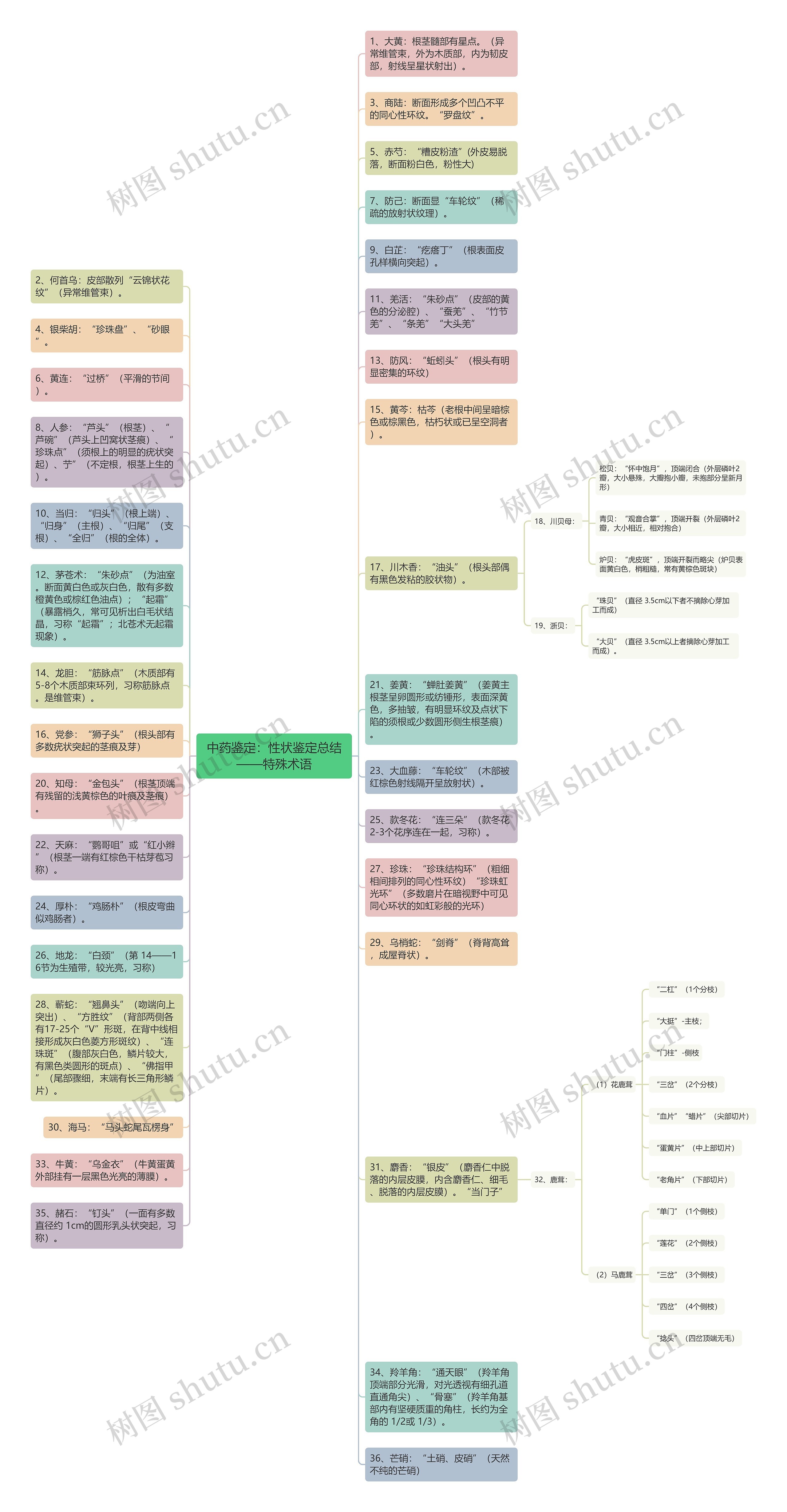 中药鉴定：性状鉴定总结——特殊术语思维导图