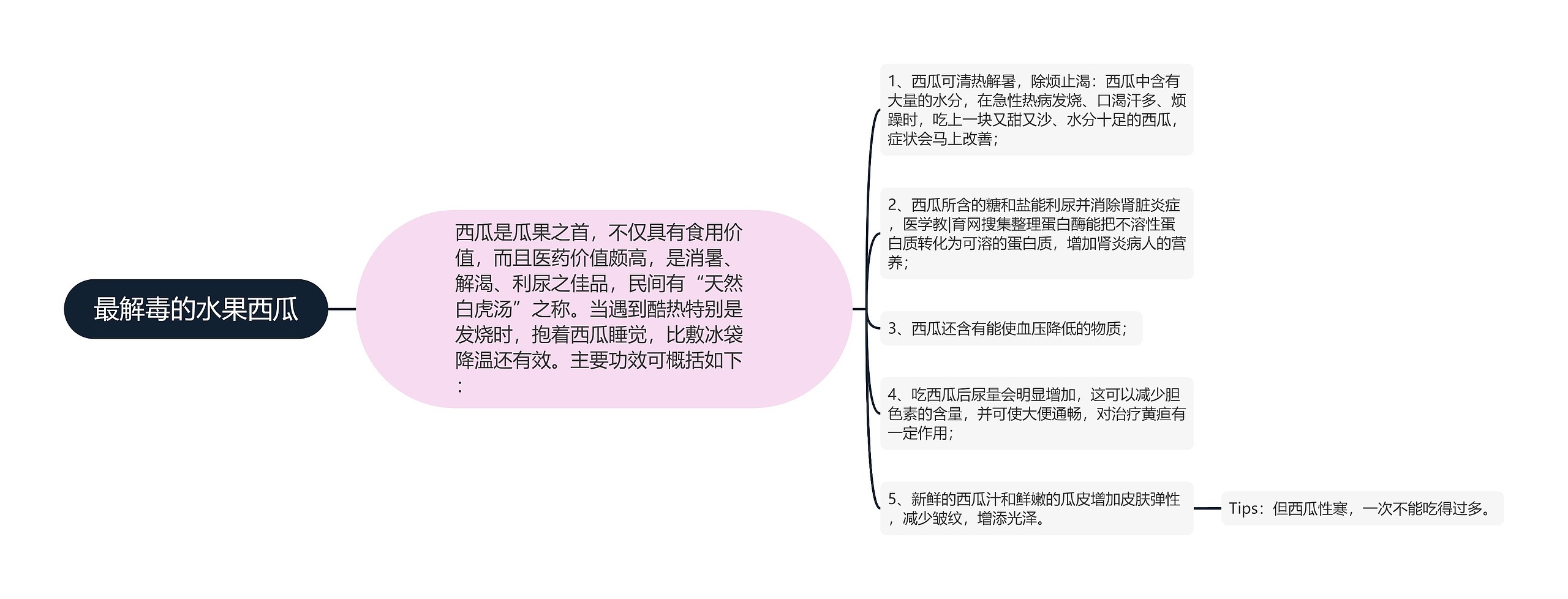 最解毒的水果西瓜思维导图