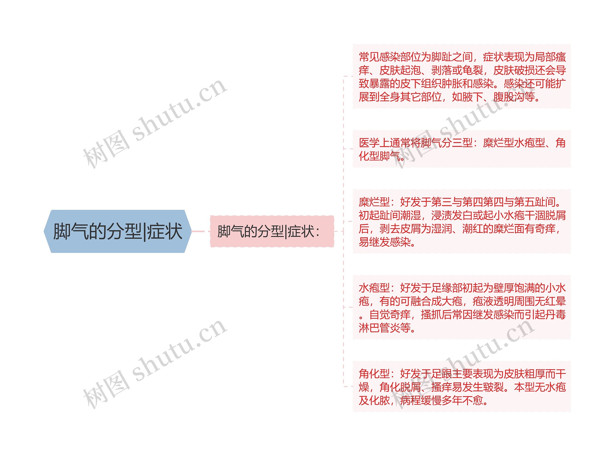 脚气的分型|症状