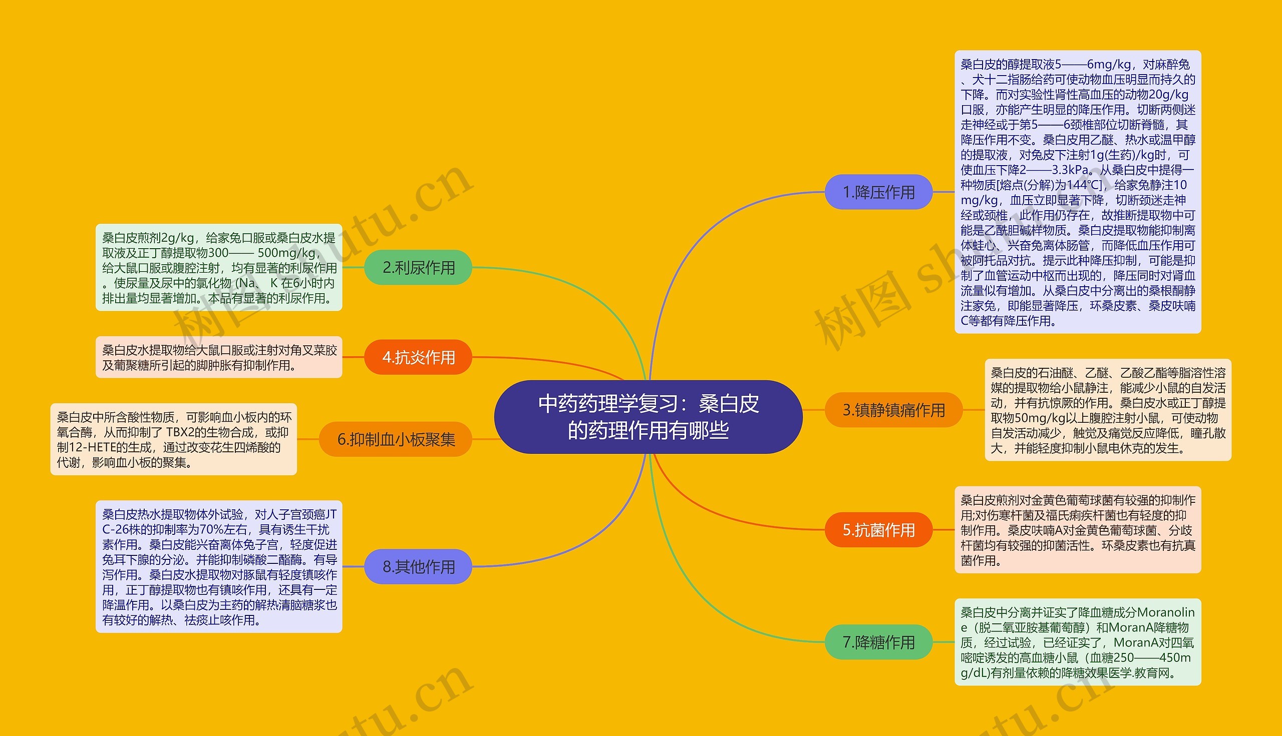 中药药理学复习：桑白皮的药理作用有哪些