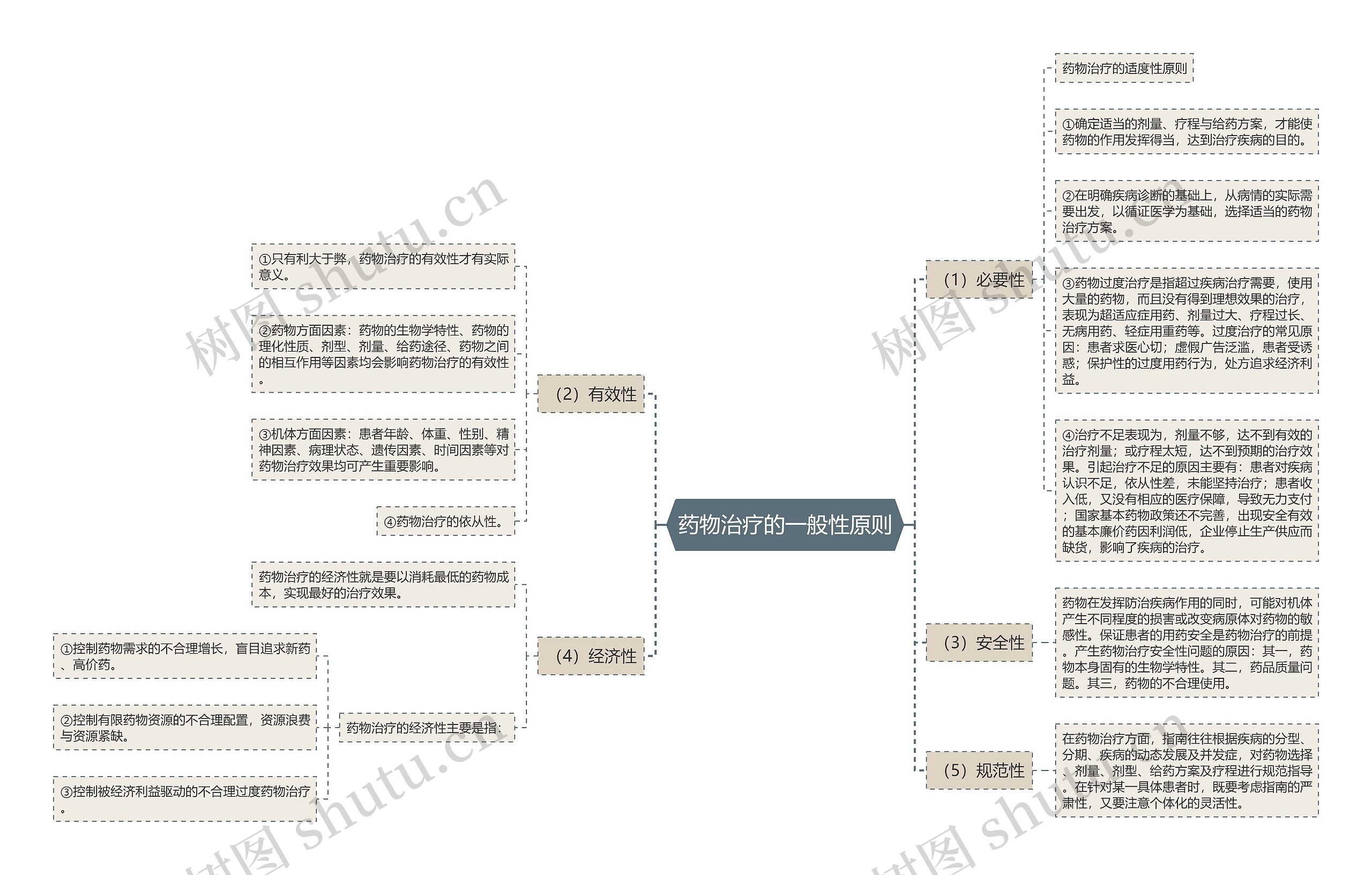 药物治疗的一般性原则思维导图