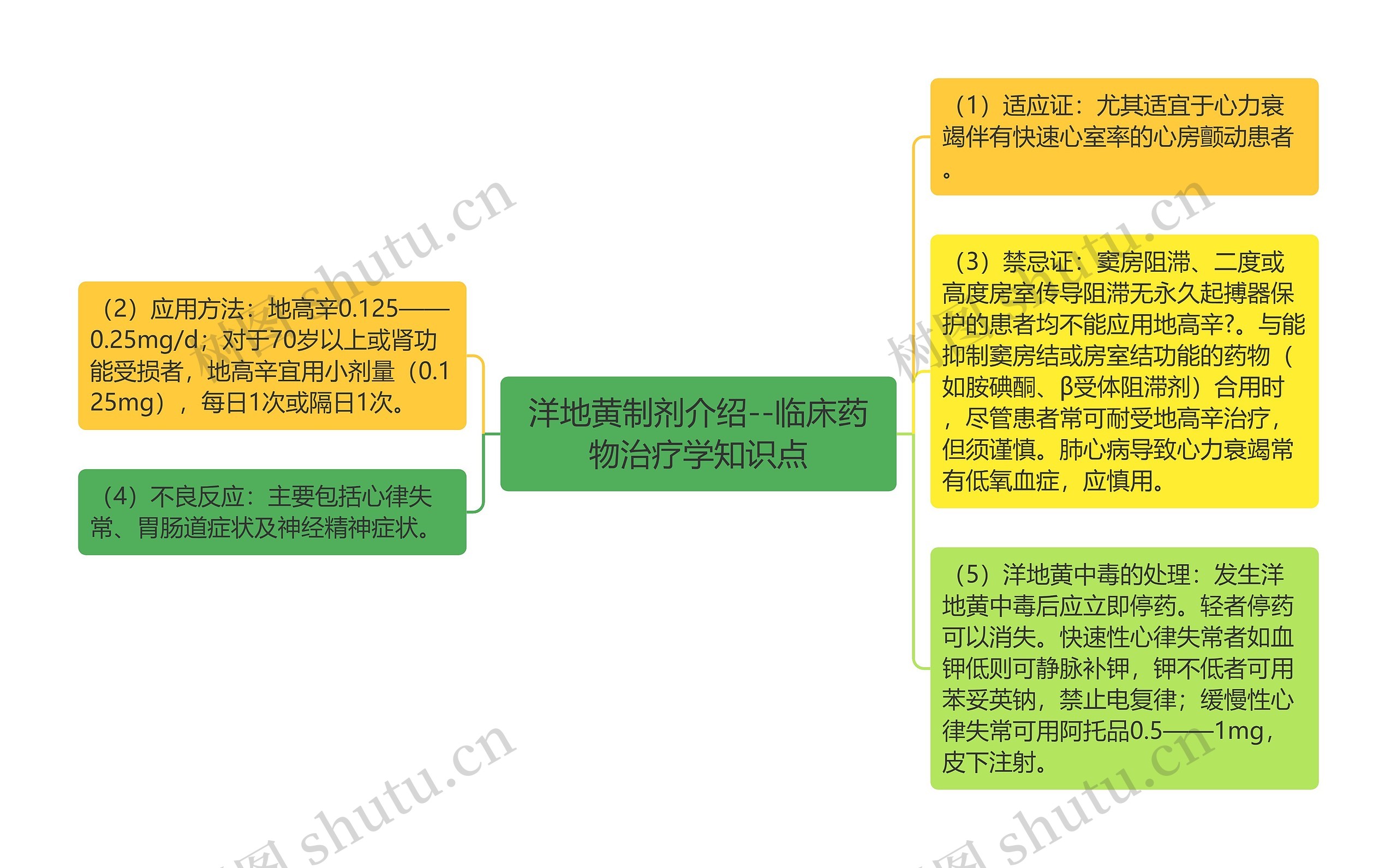 洋地黄制剂介绍--临床药物治疗学知识点