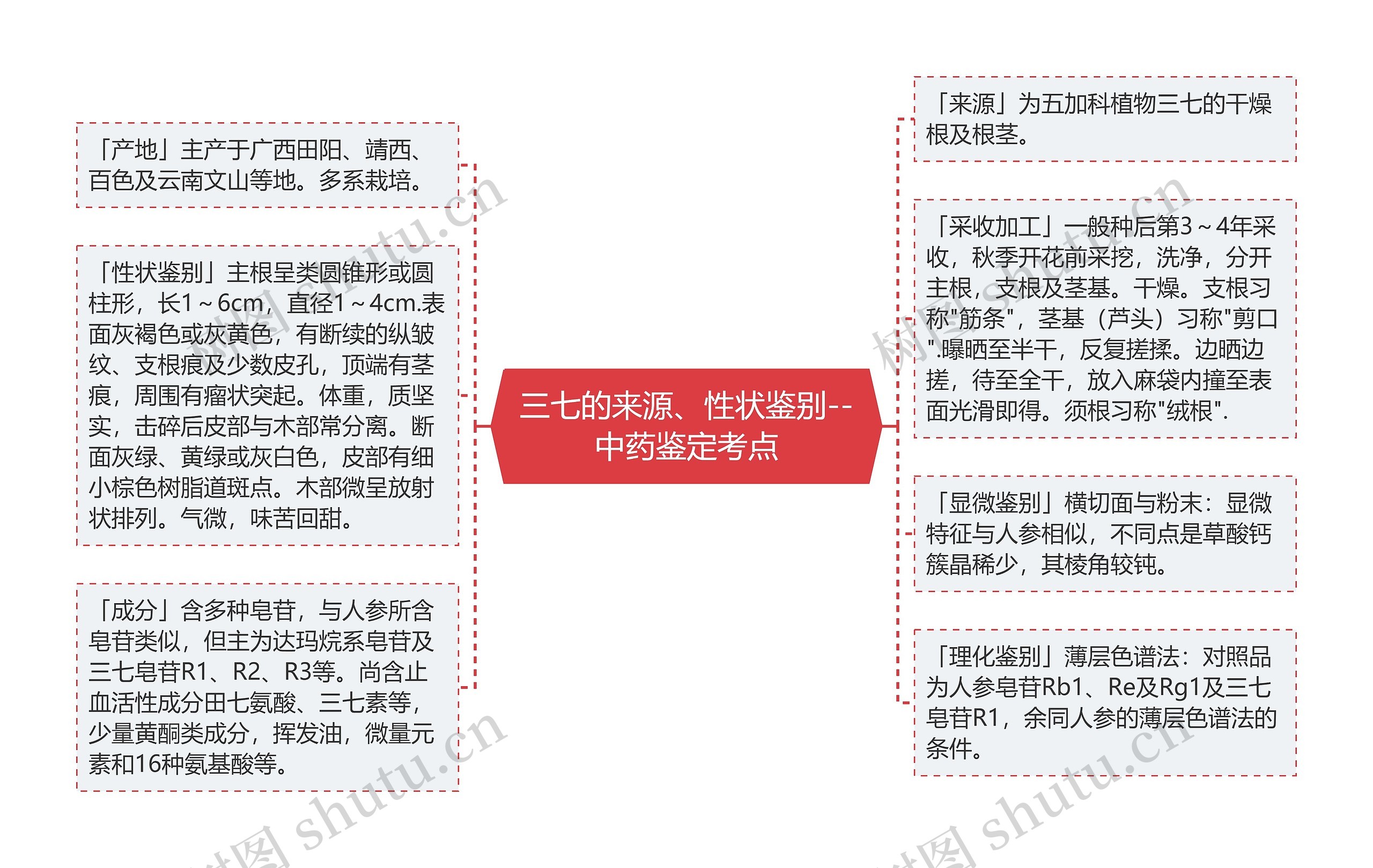 三七的来源、性状鉴别--中药鉴定考点思维导图