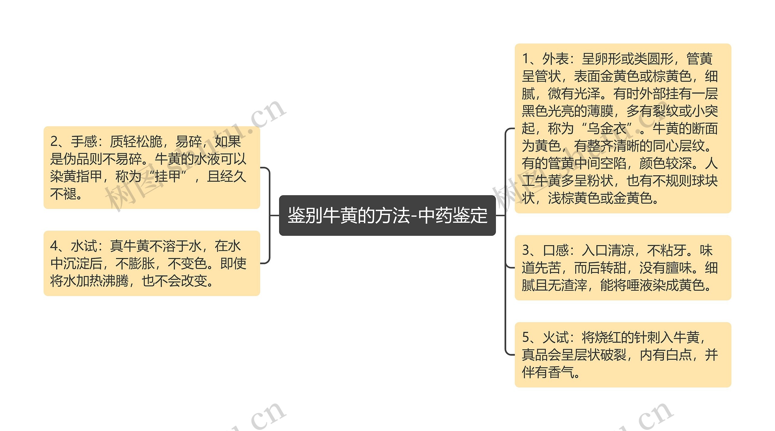 鉴别牛黄的方法-中药鉴定思维导图