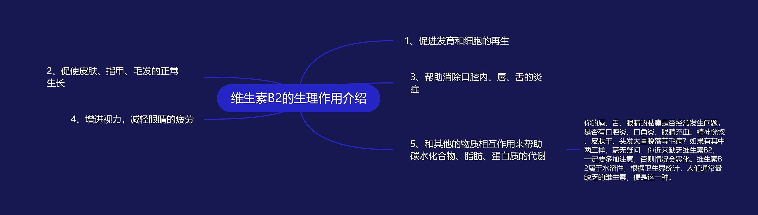 维生素B2的生理作用介绍思维导图