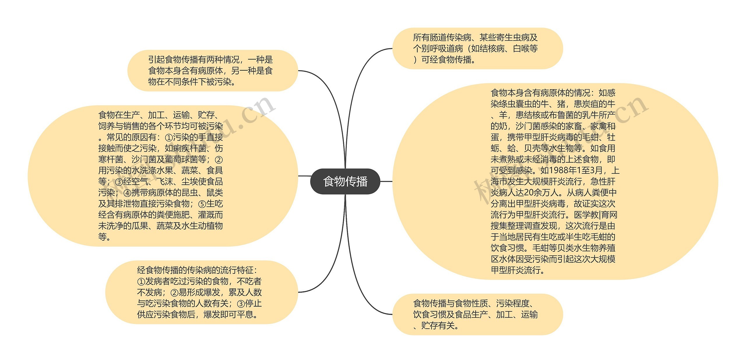 食物传播思维导图