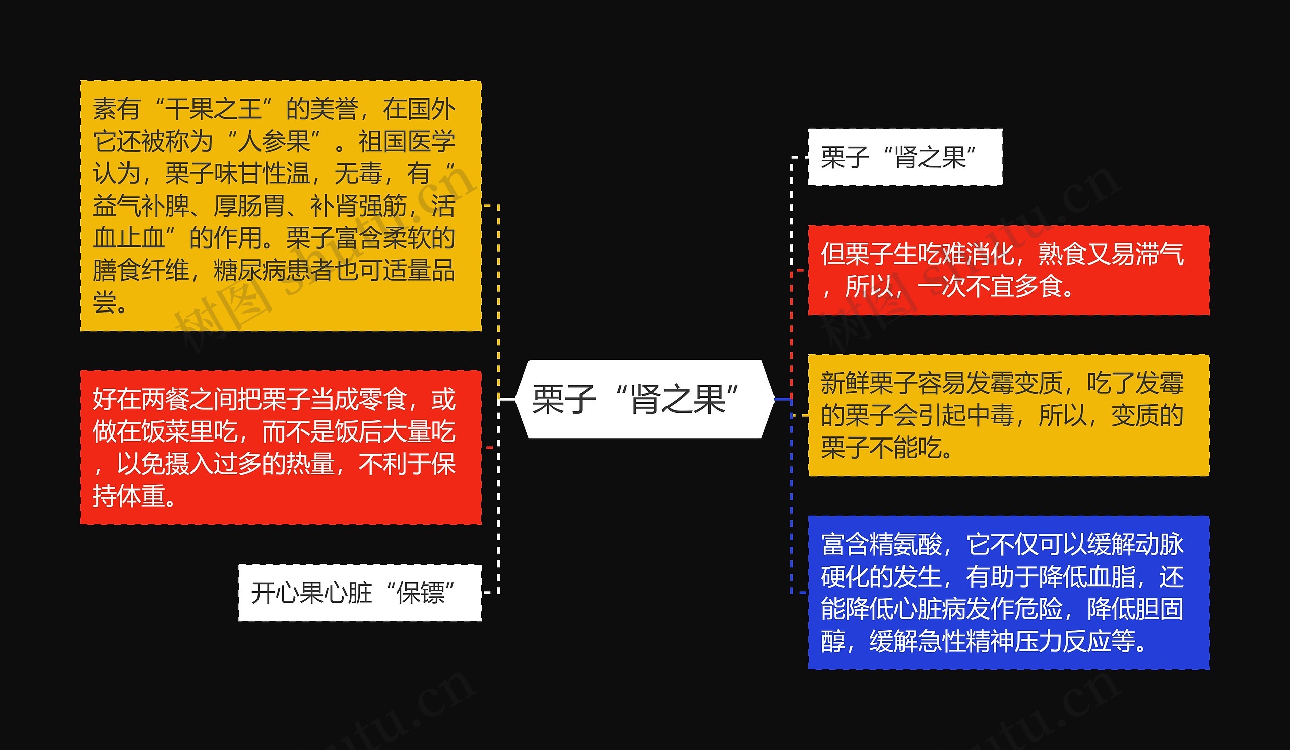 栗子“肾之果”思维导图