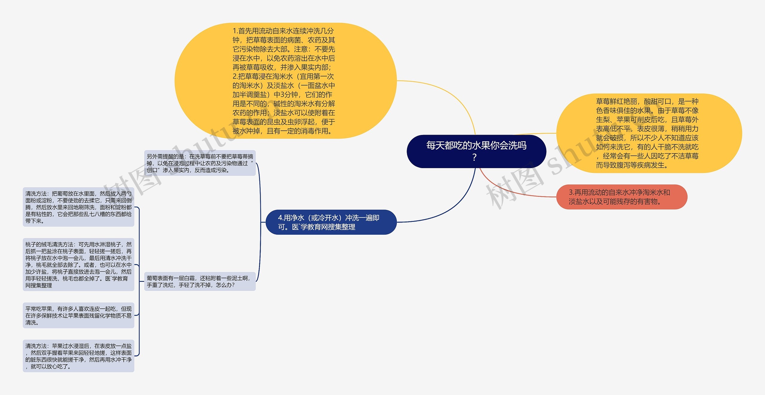 每天都吃的水果你会洗吗？思维导图