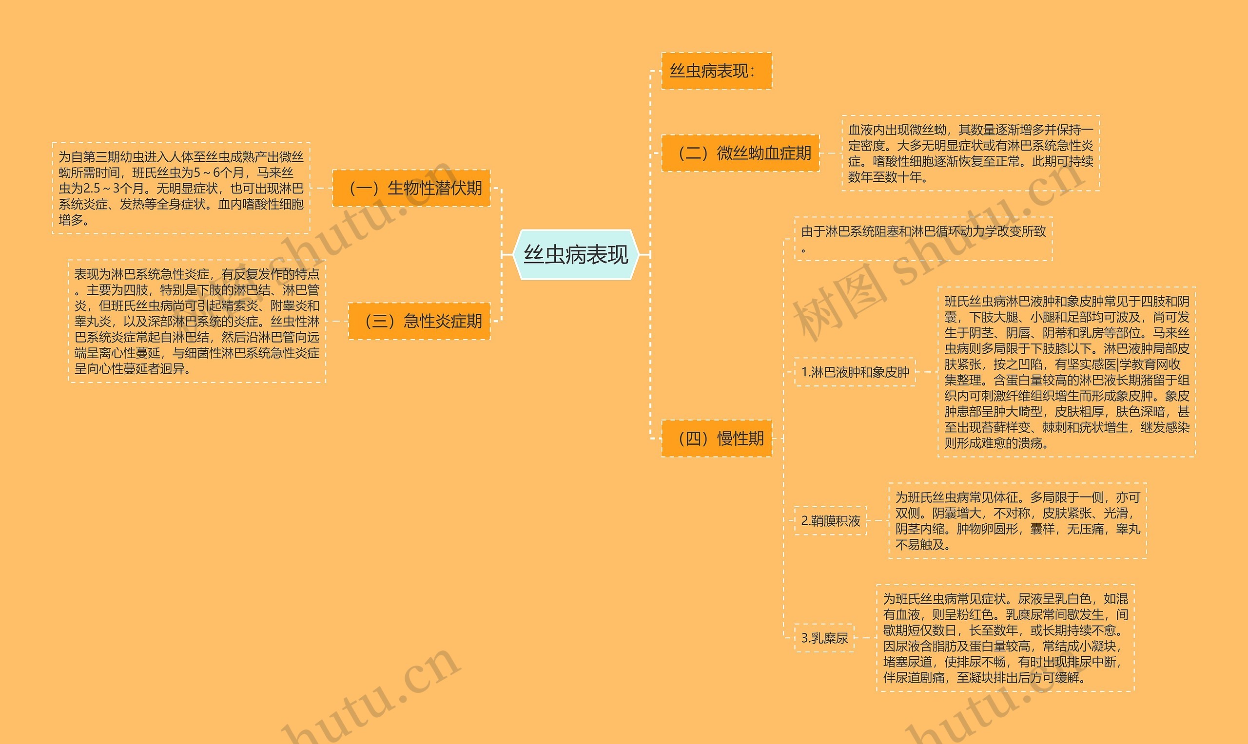 丝虫病表现思维导图