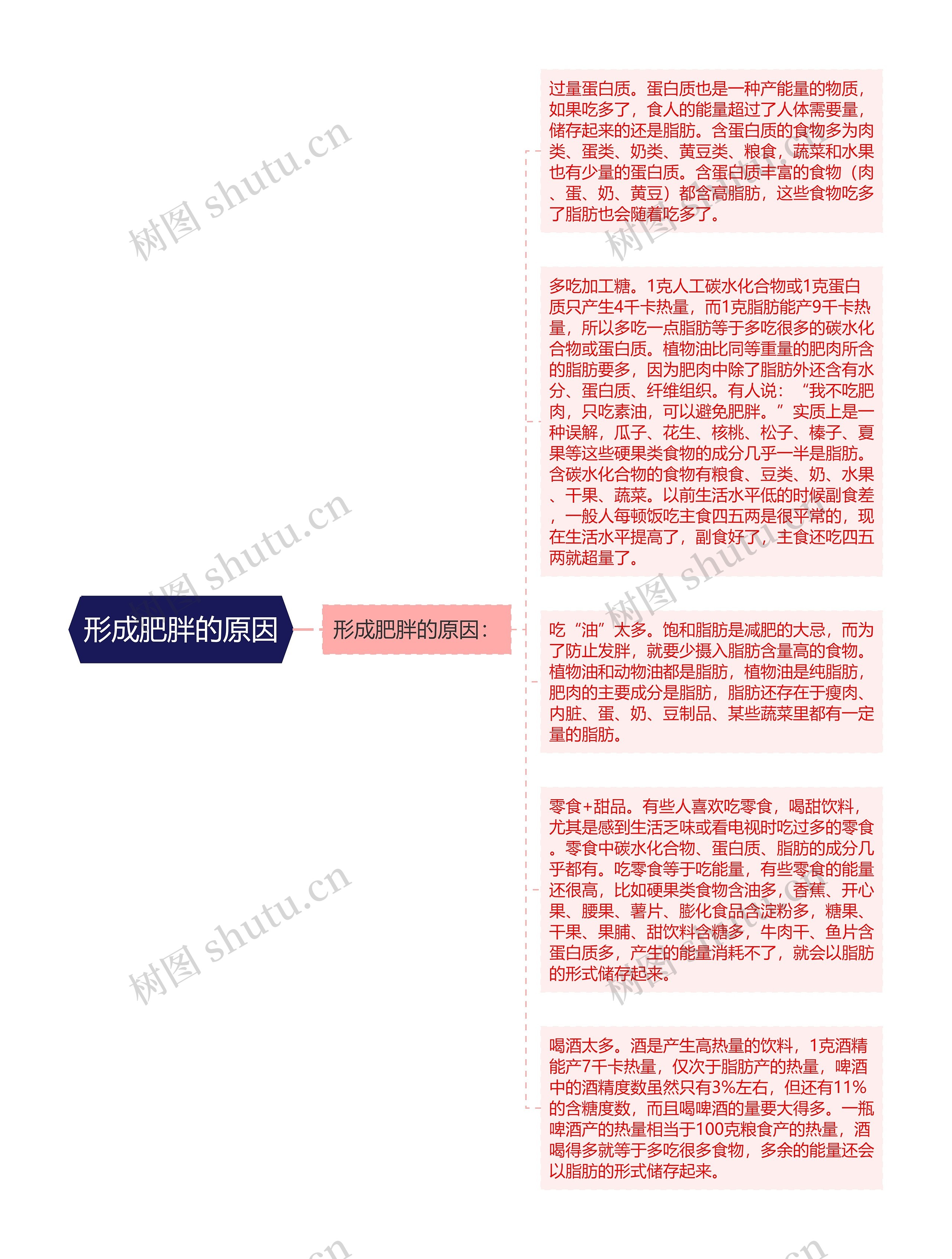 形成肥胖的原因思维导图