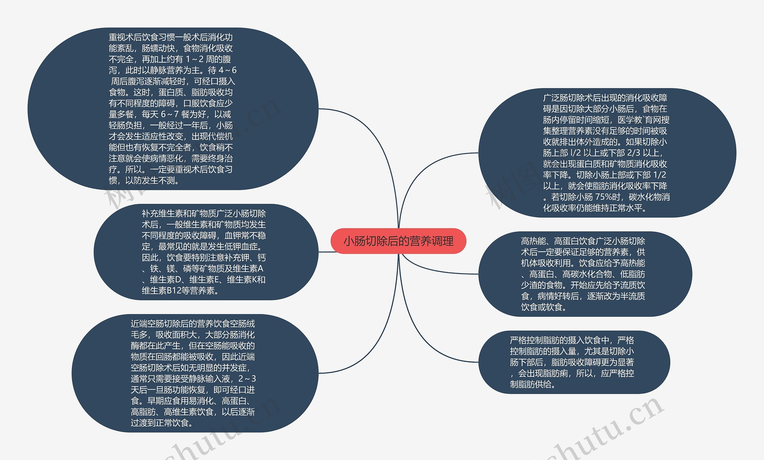 小肠切除后的营养调理思维导图