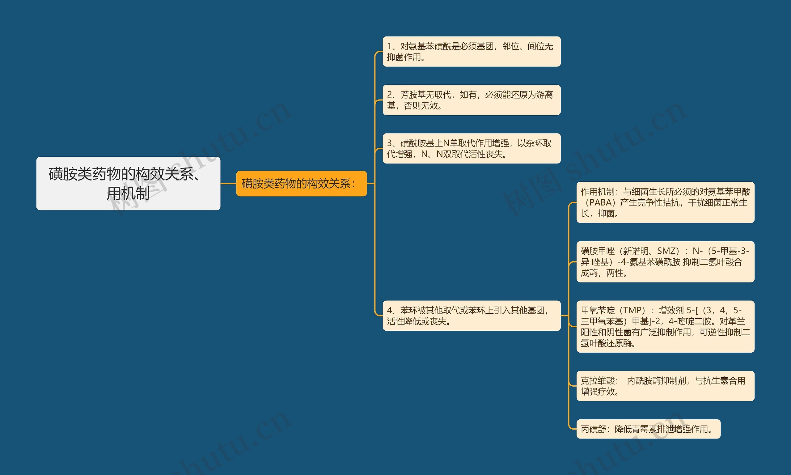 磺胺类药物的构效关系、用机制思维导图