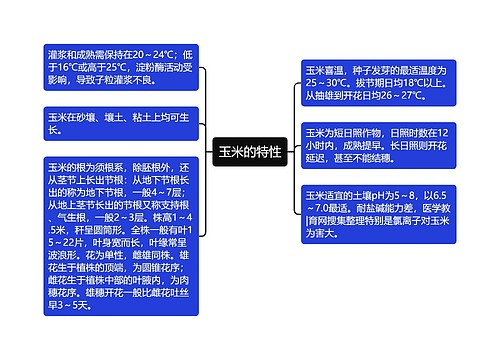 玉米的特性