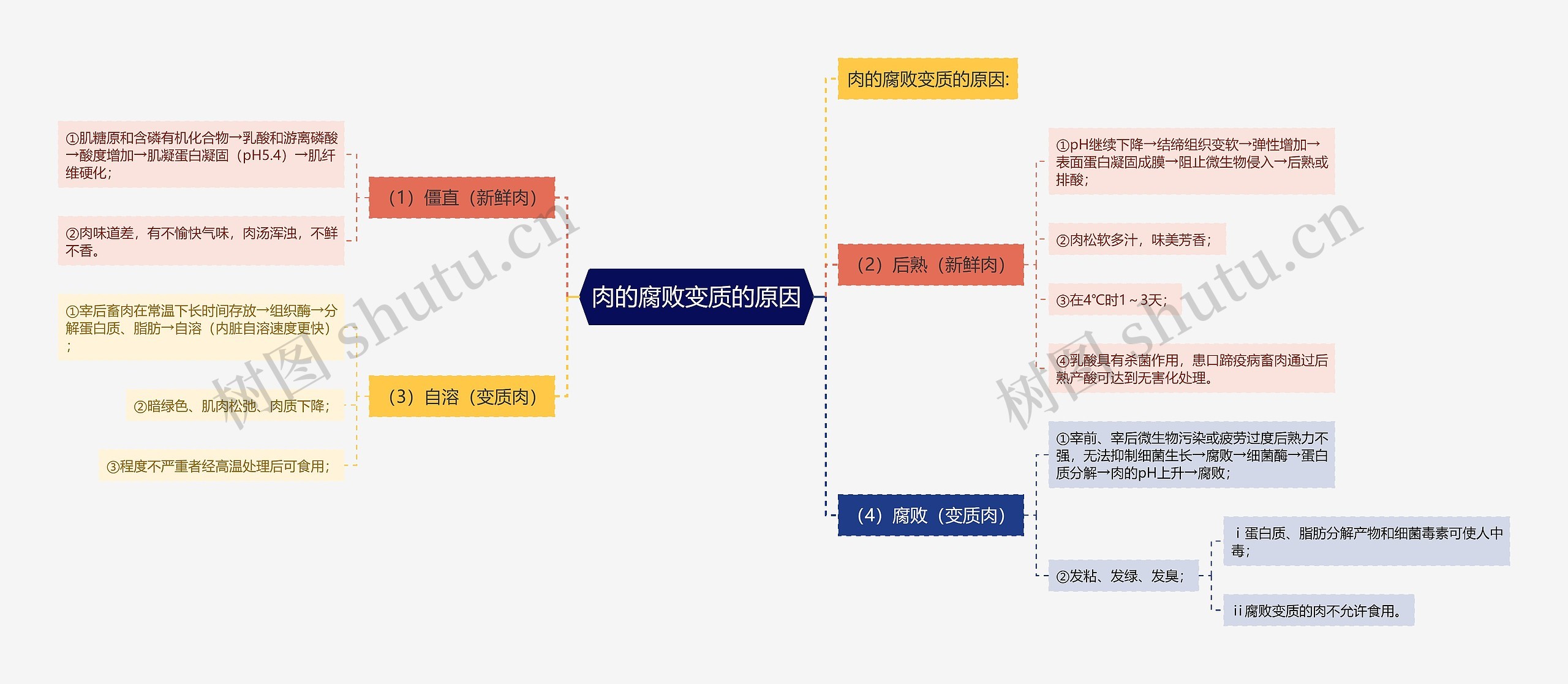 肉的腐败变质的原因思维导图