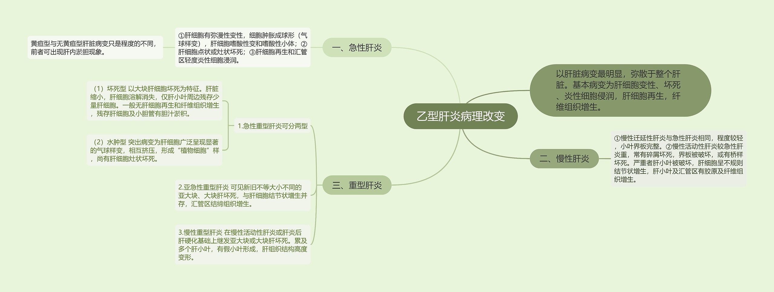 乙型肝炎病理改变 乙型肝炎病理改变