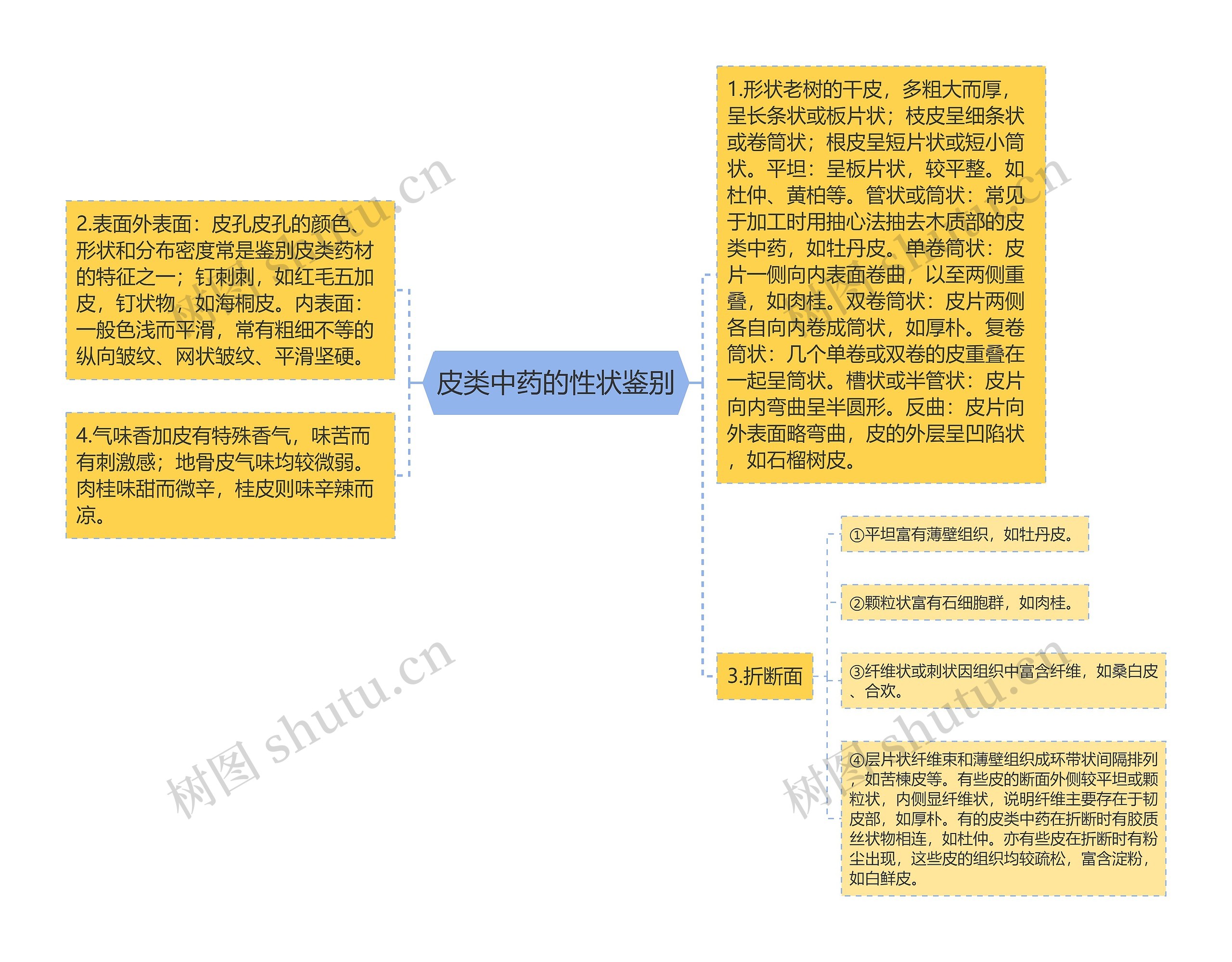 皮类中药的性状鉴别思维导图