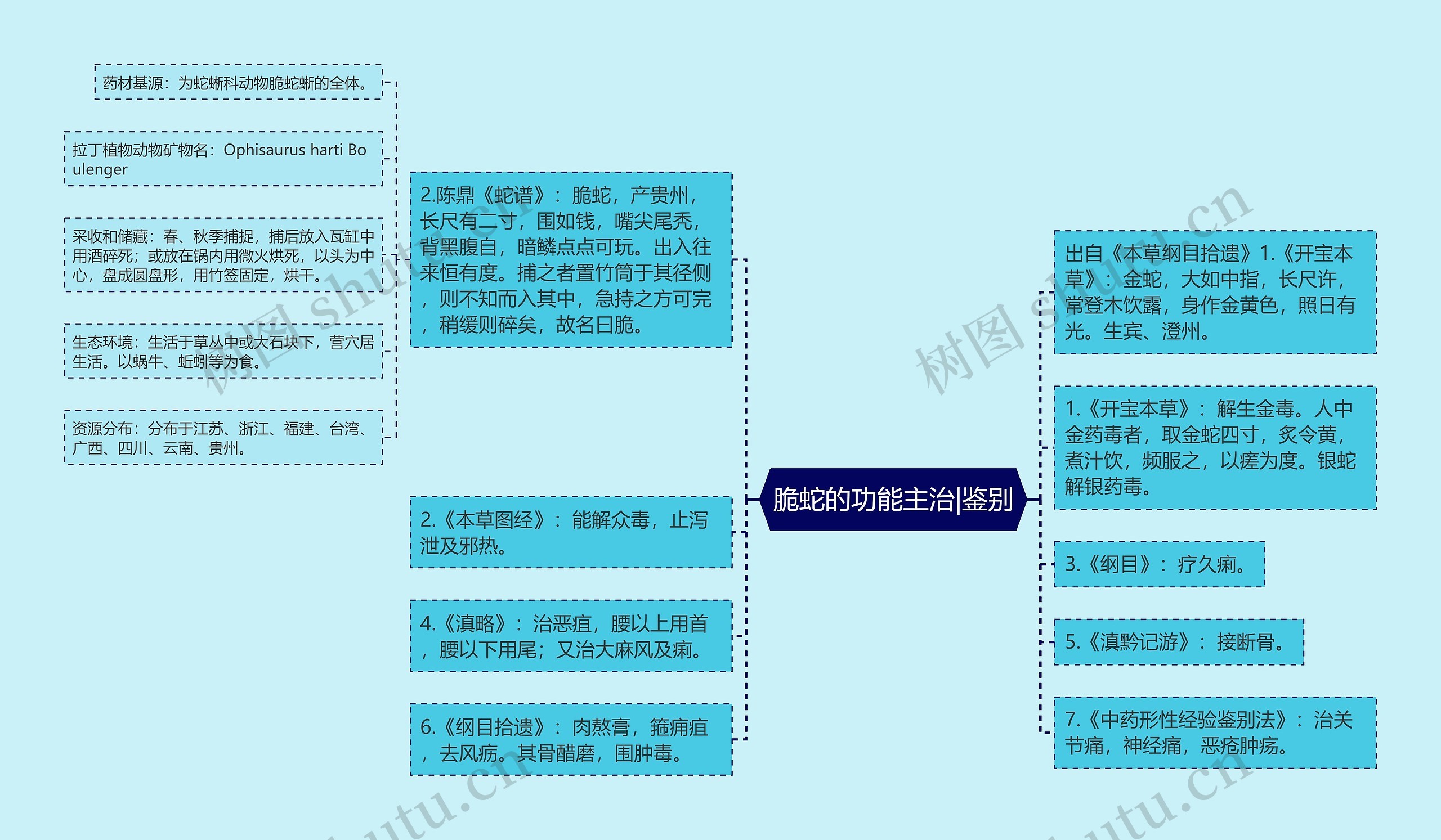 脆蛇的功能主治|鉴别