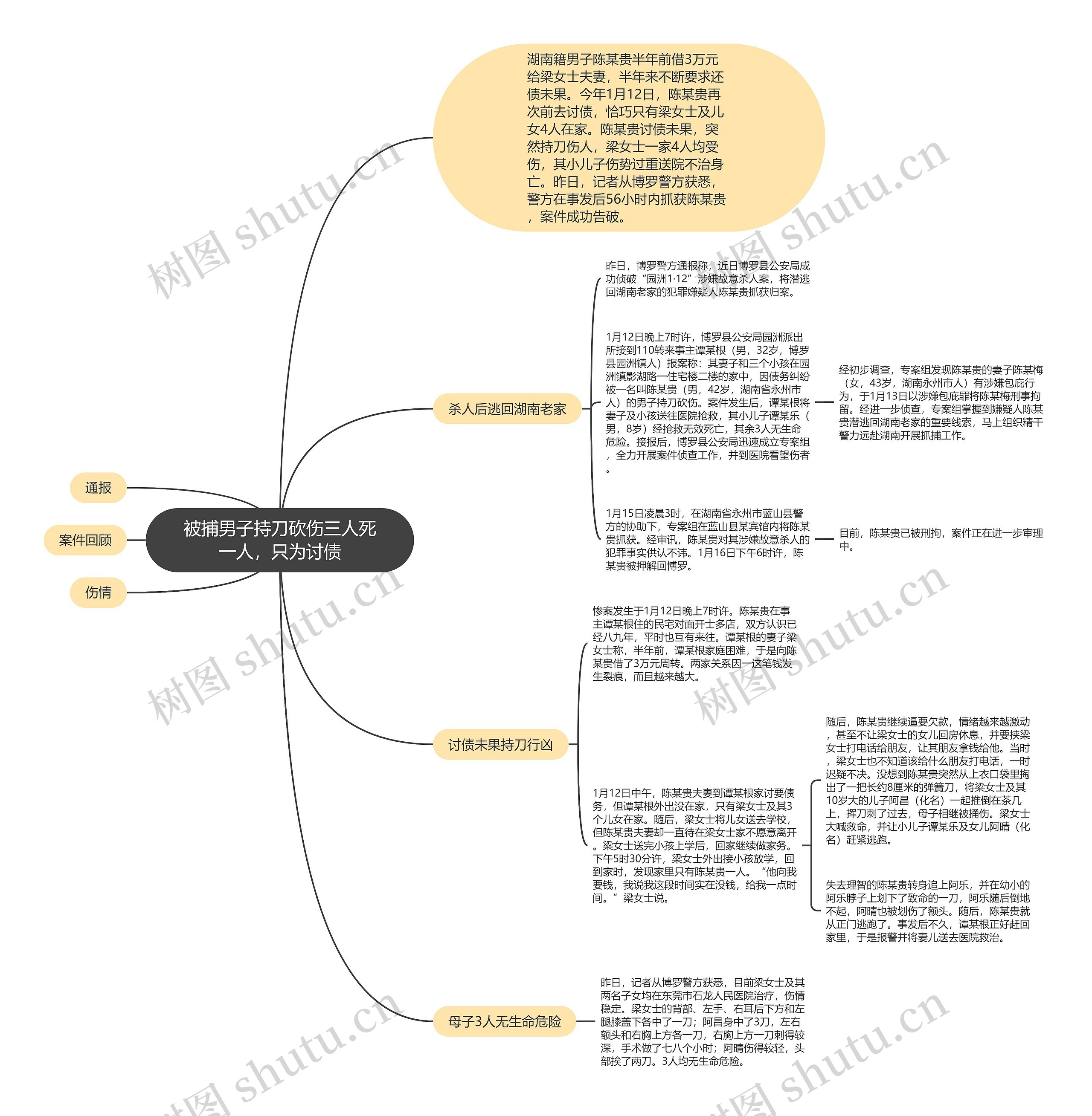 被捕男子持刀砍伤三人死一人，只为讨债思维导图