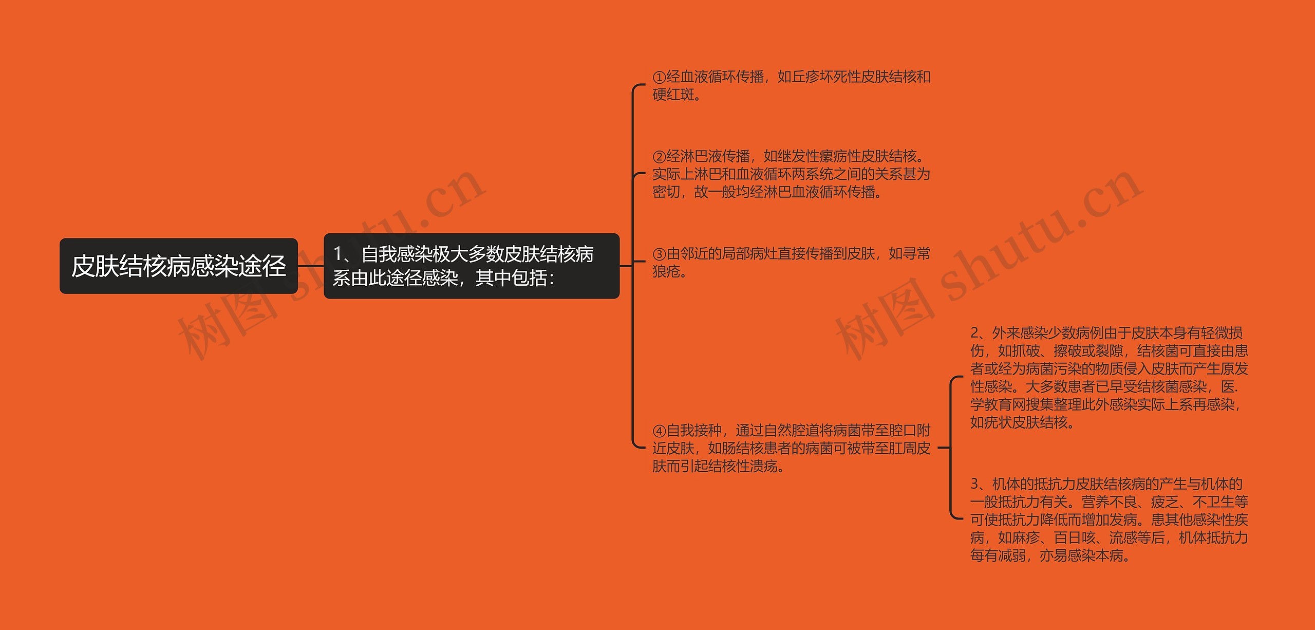 皮肤结核病感染途径思维导图