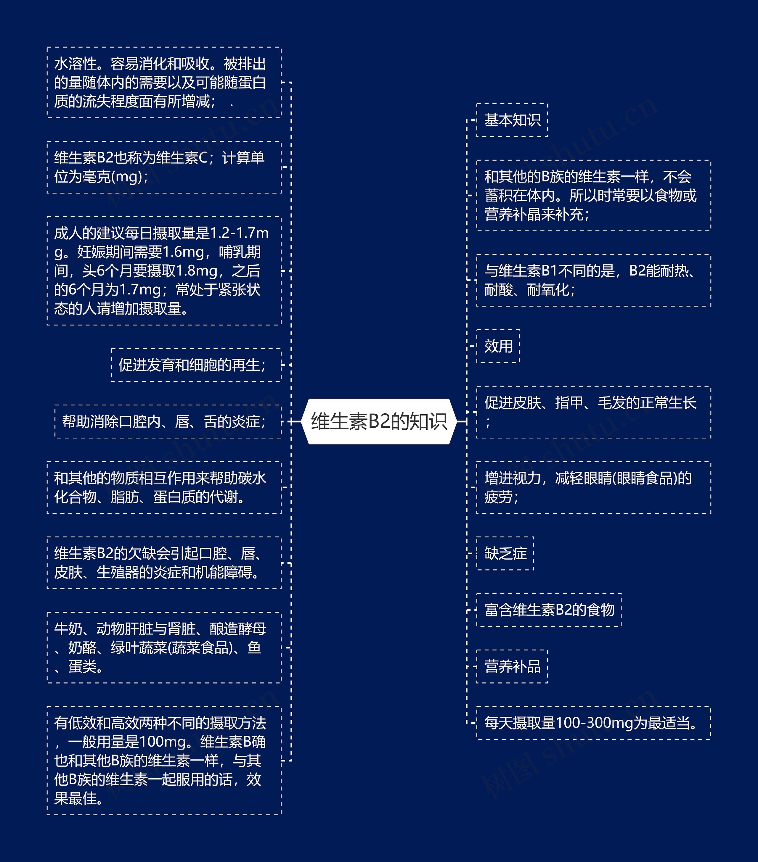 维生素B2的知识思维导图