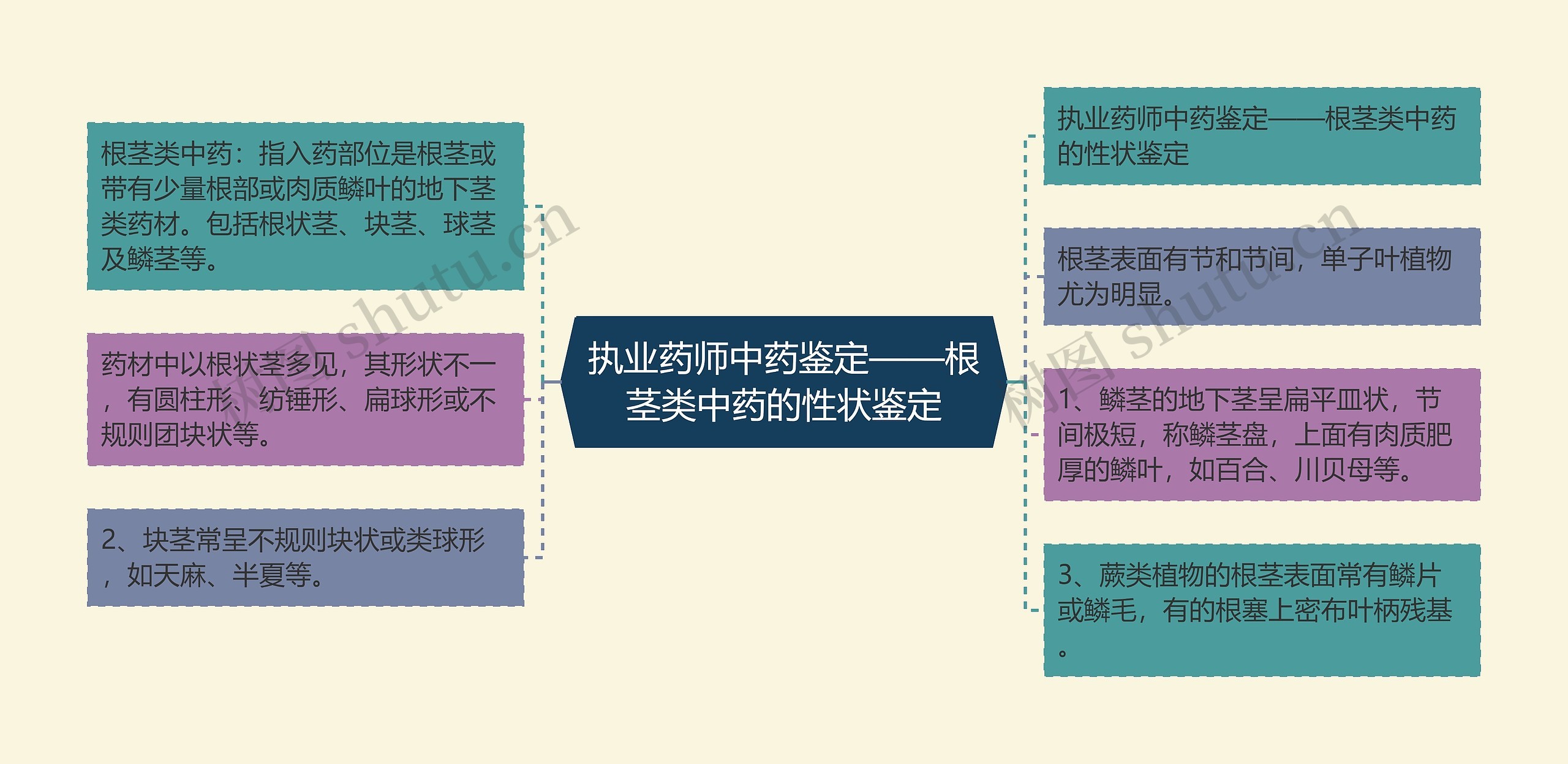 执业药师中药鉴定——根茎类中药的性状鉴定 执业药师中药鉴定——根茎类中药的性状鉴定