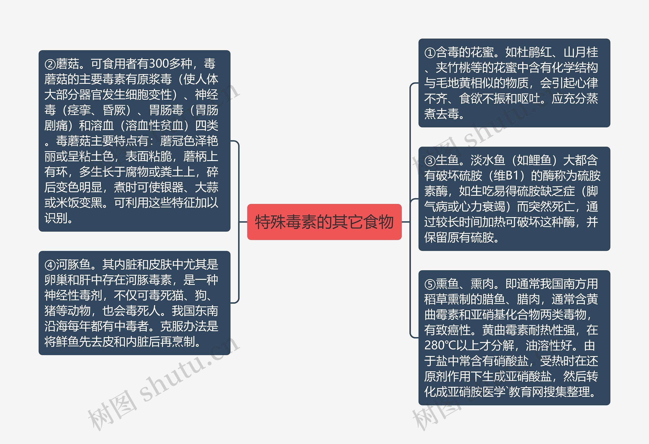 特殊毒素的其它食物思维导图