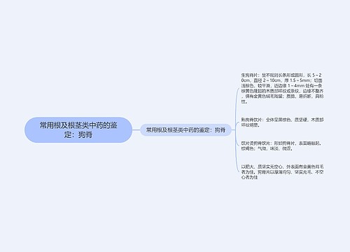 常用根及根茎类中药的鉴定：狗脊