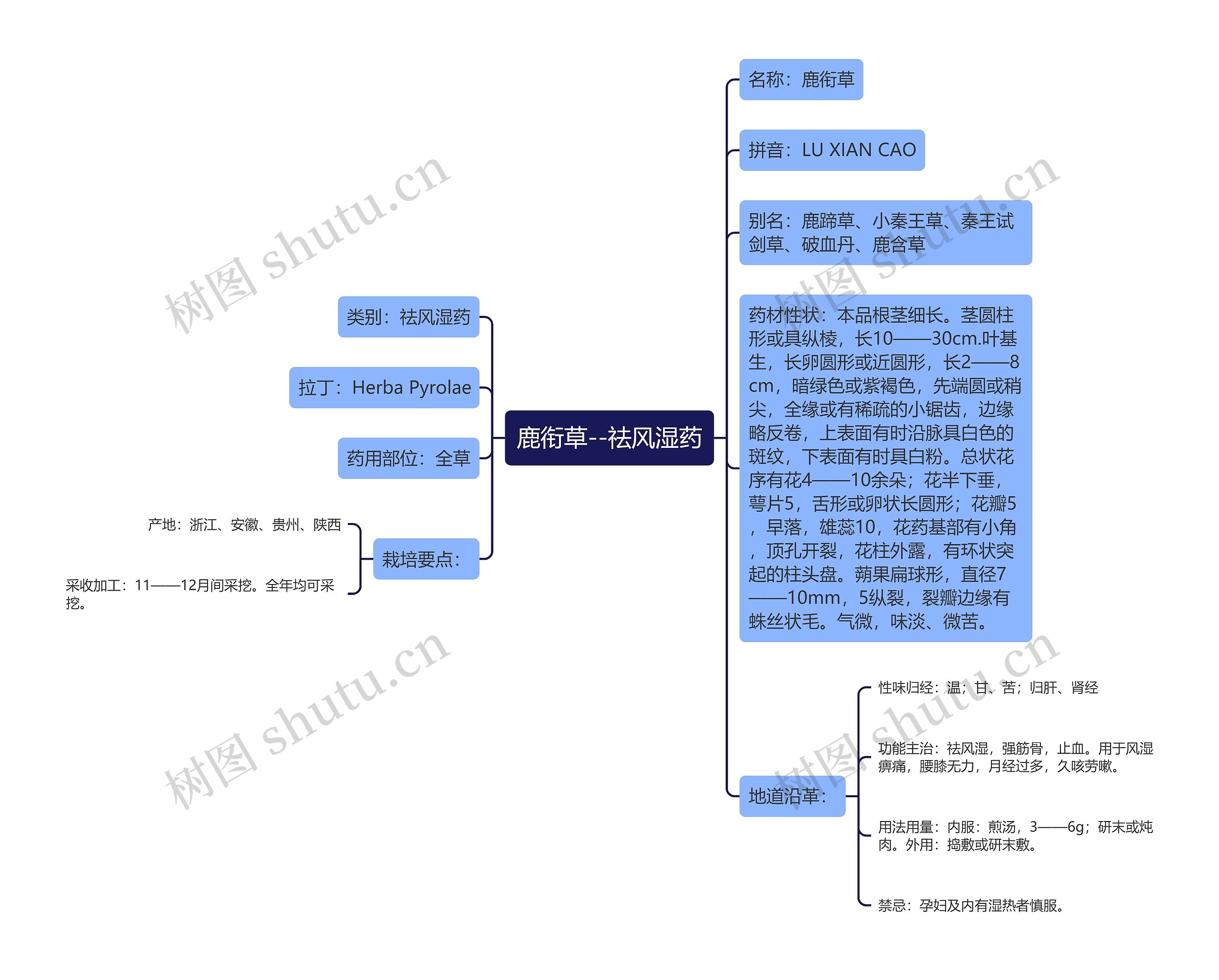 鹿衔草--祛风湿药思维导图