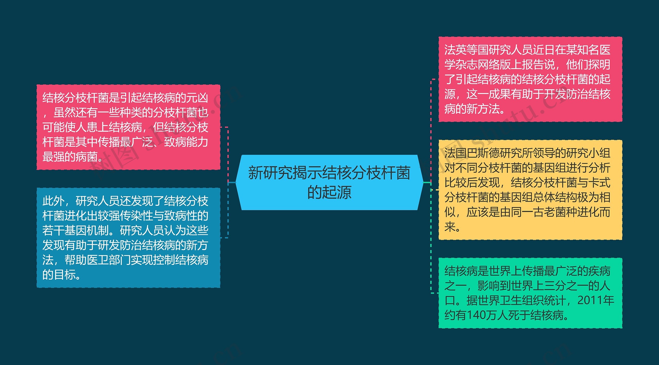 新研究揭示结核分枝杆菌的起源思维导图