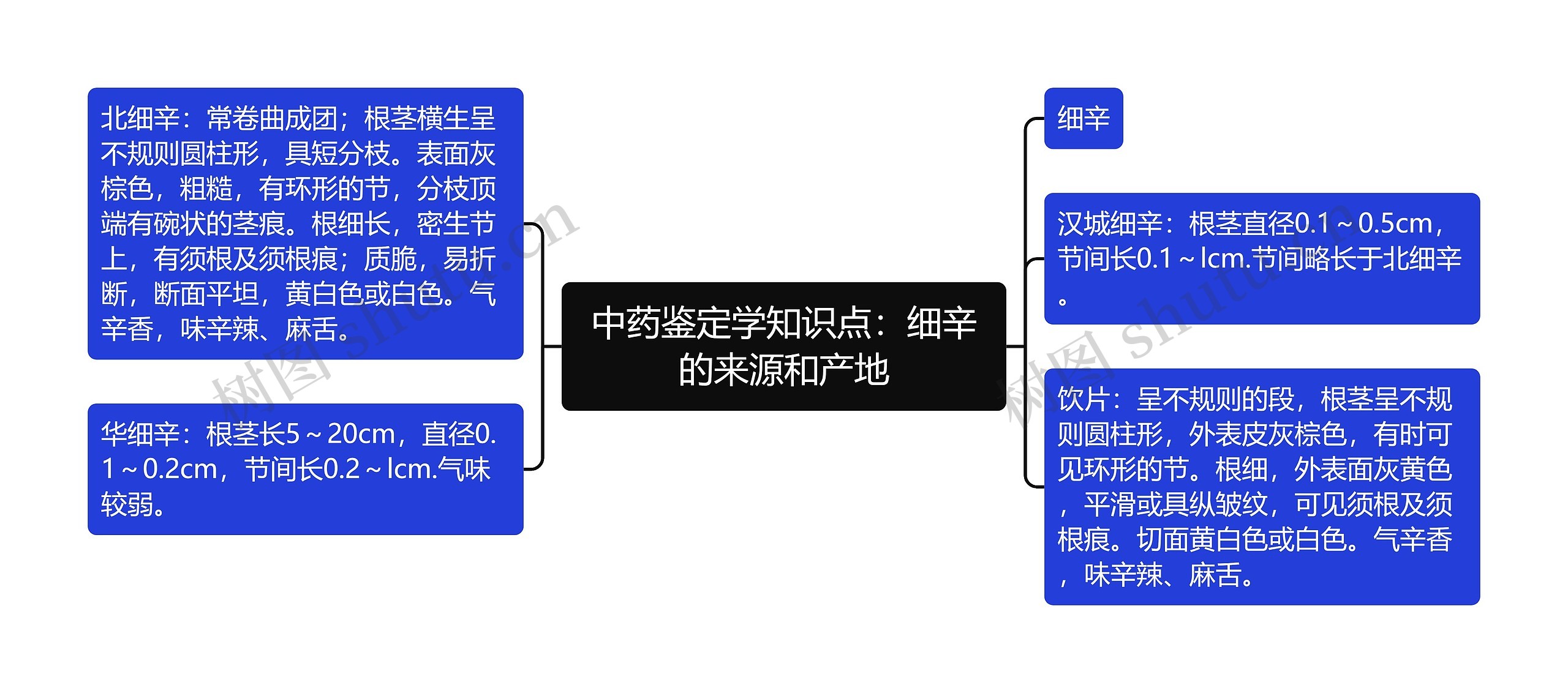 中药鉴定学知识点：细辛的来源和产地思维导图