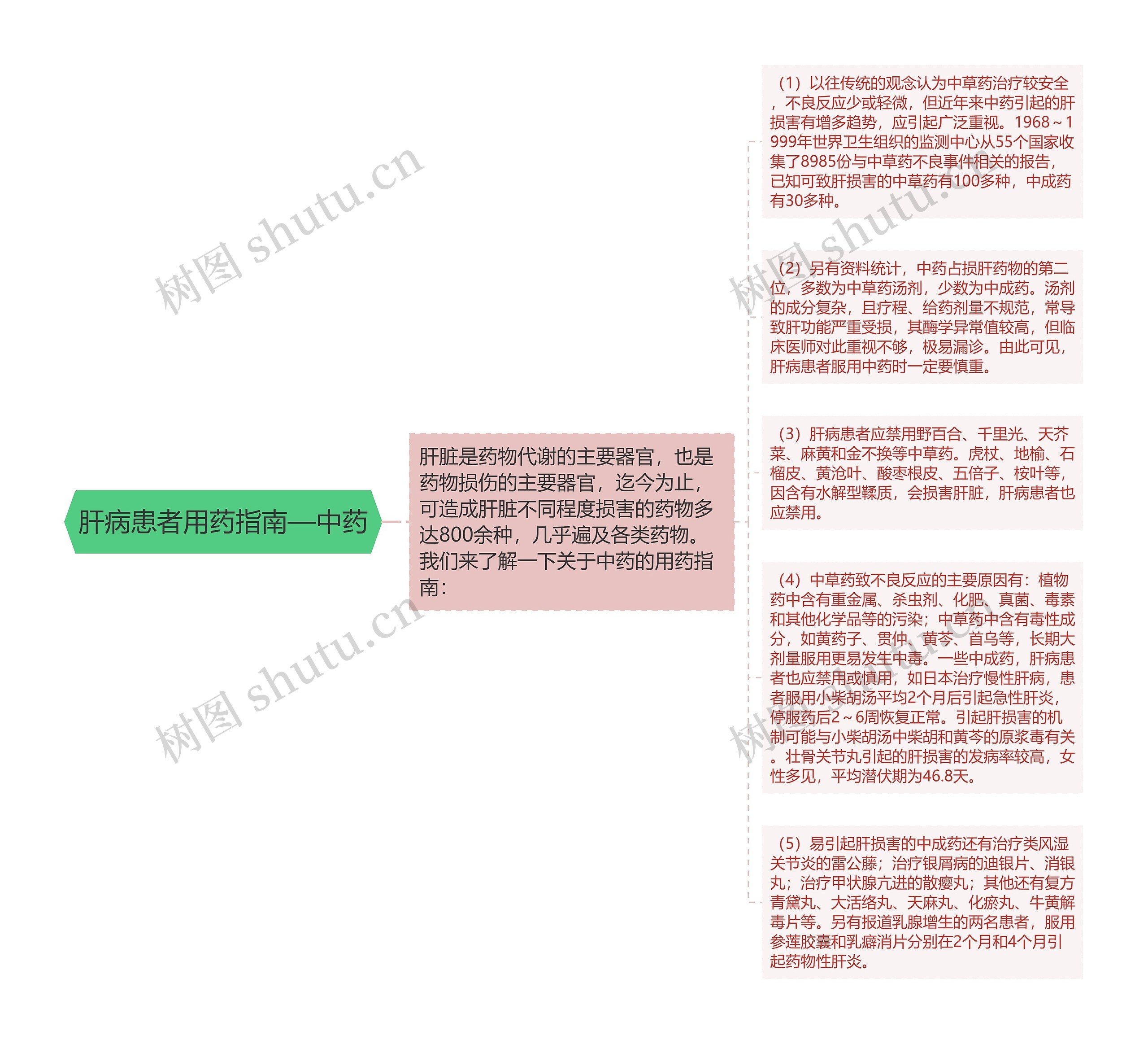 肝病患者用药指南—中药思维导图