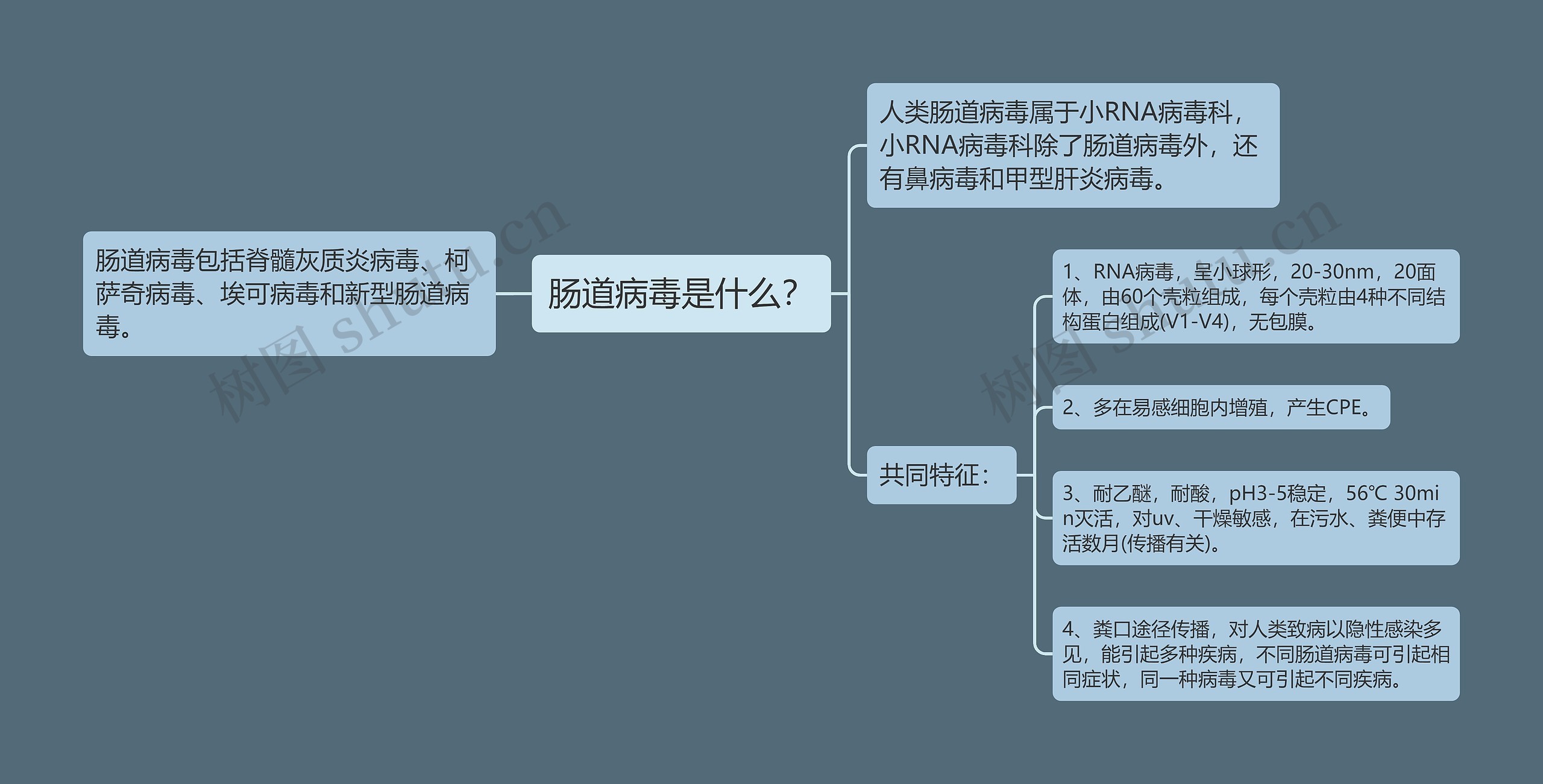 肠道病毒是什么？思维导图