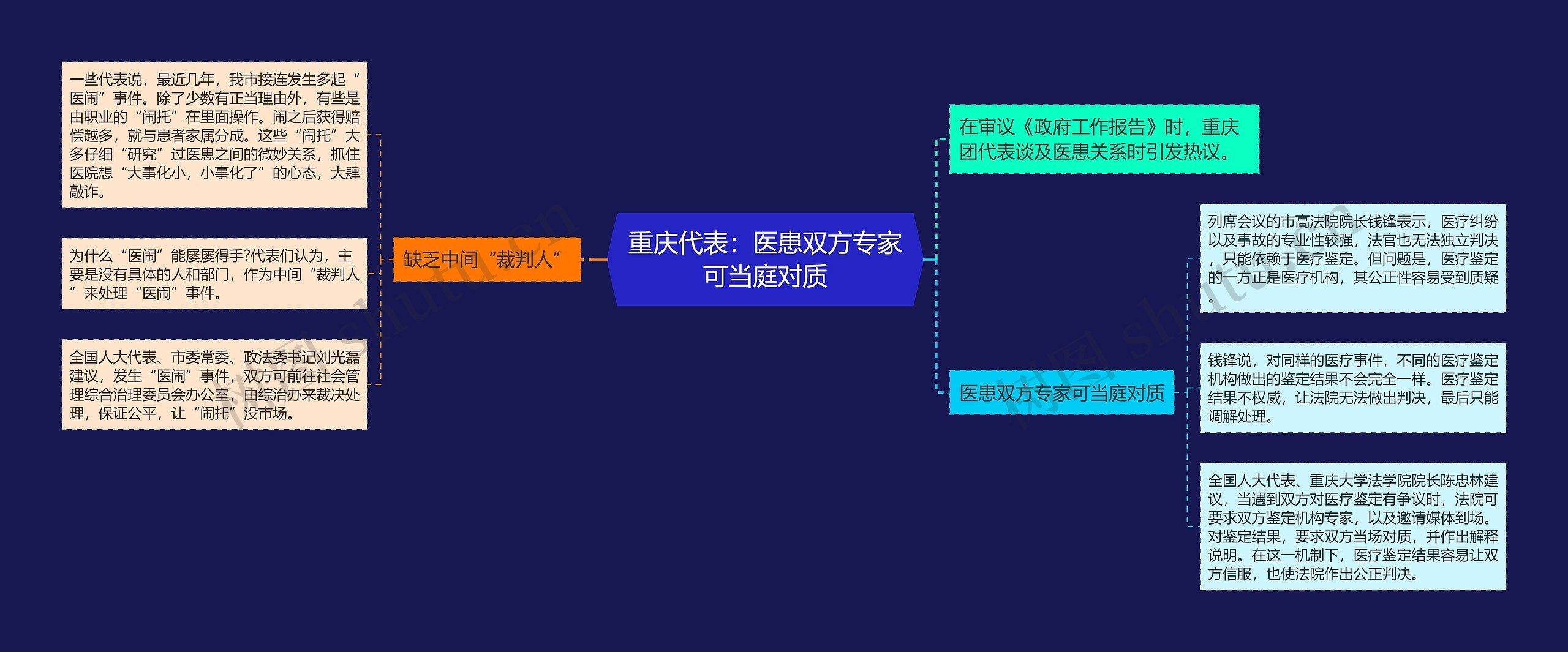 重庆代表：医患双方专家可当庭对质思维导图