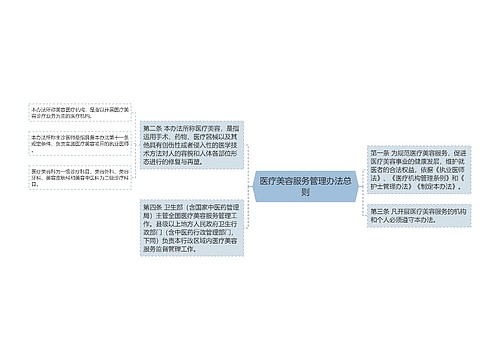 医疗美容服务管理办法总则