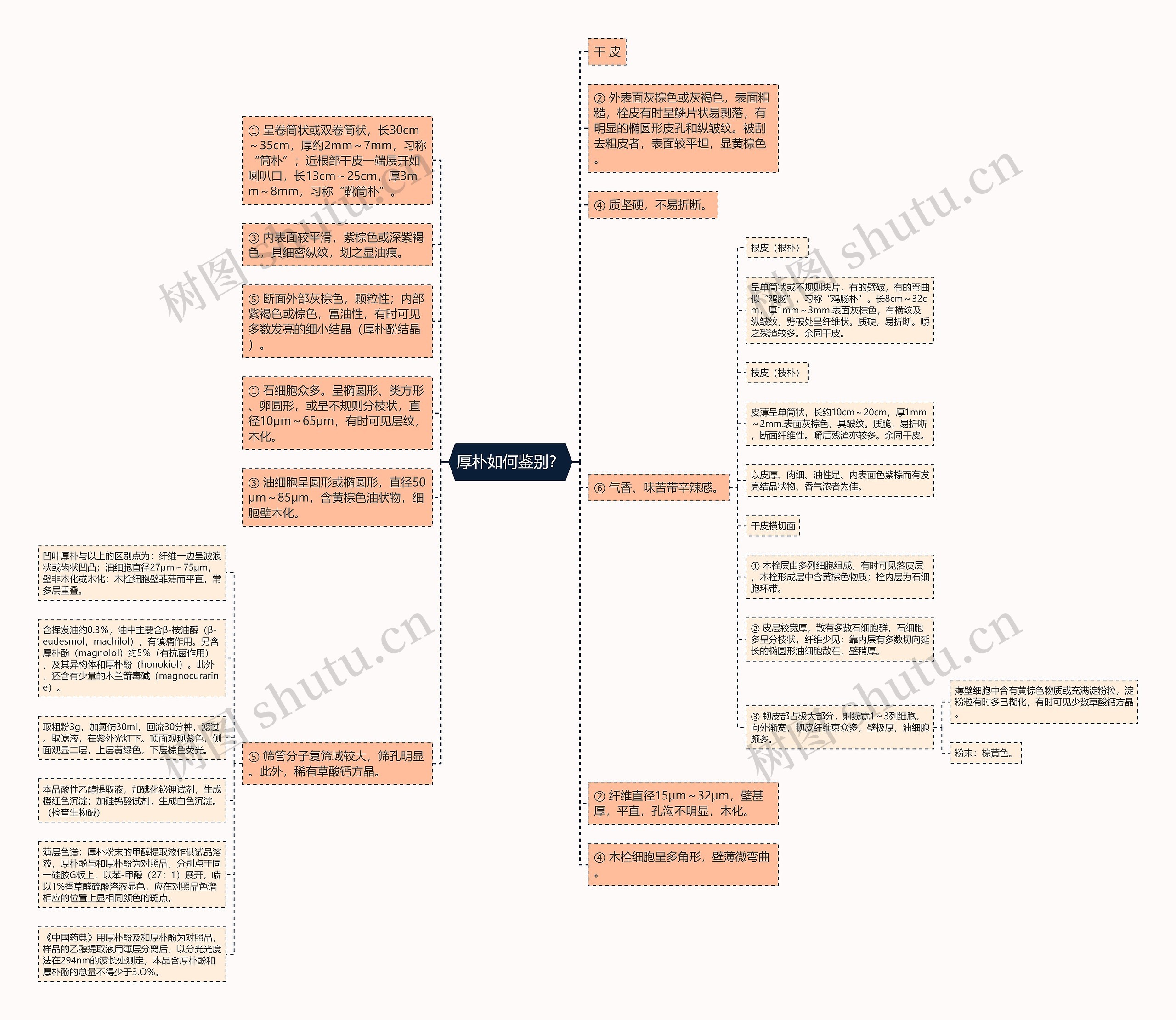 厚朴如何鉴别？思维导图