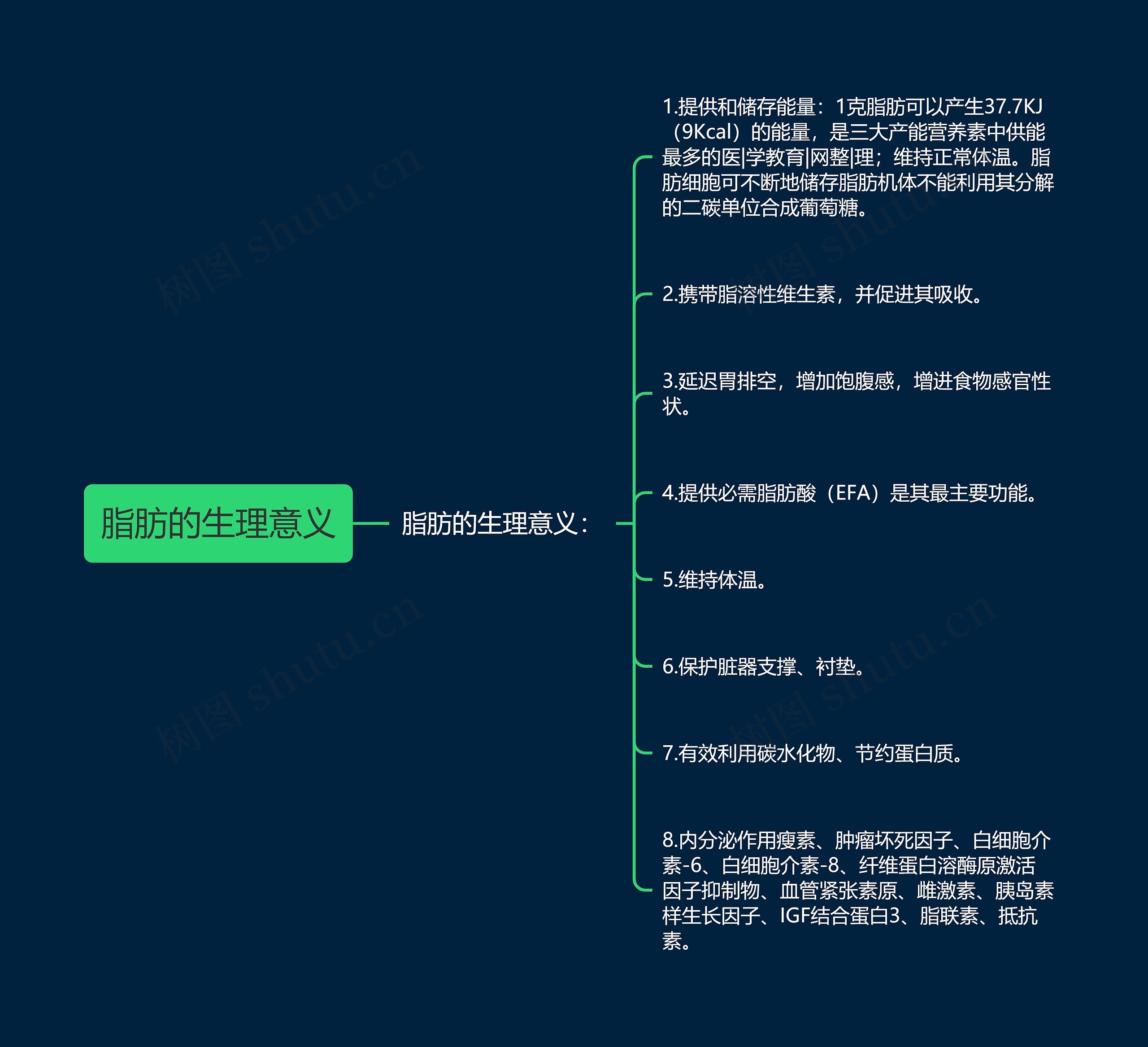 脂肪的生理意义思维导图