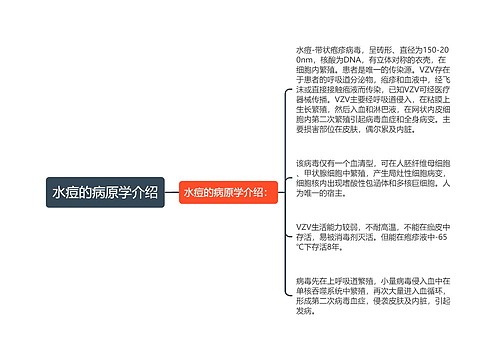 水痘的病原学介绍